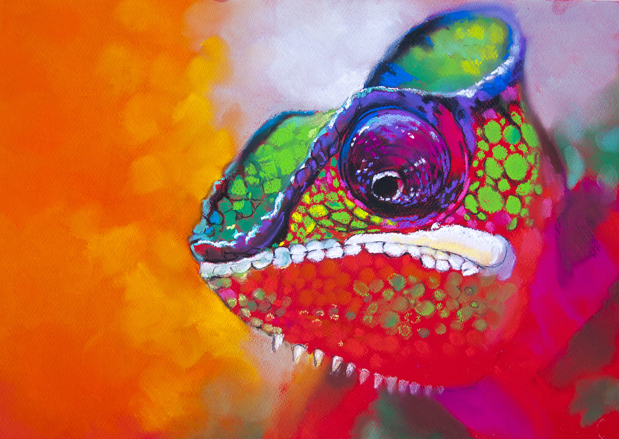 变色龙软件：分析图像颜色占比，提升调色精准度