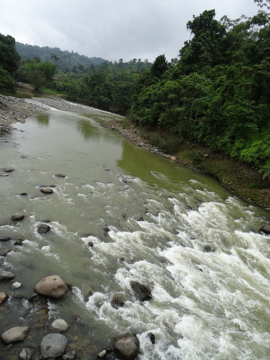 怒江州金顶镇生态环境污染现状及治理建议