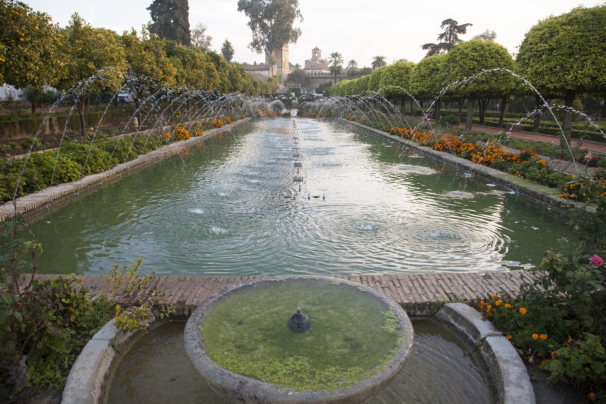 fountain in the gardens of the alcazar of catholic kings