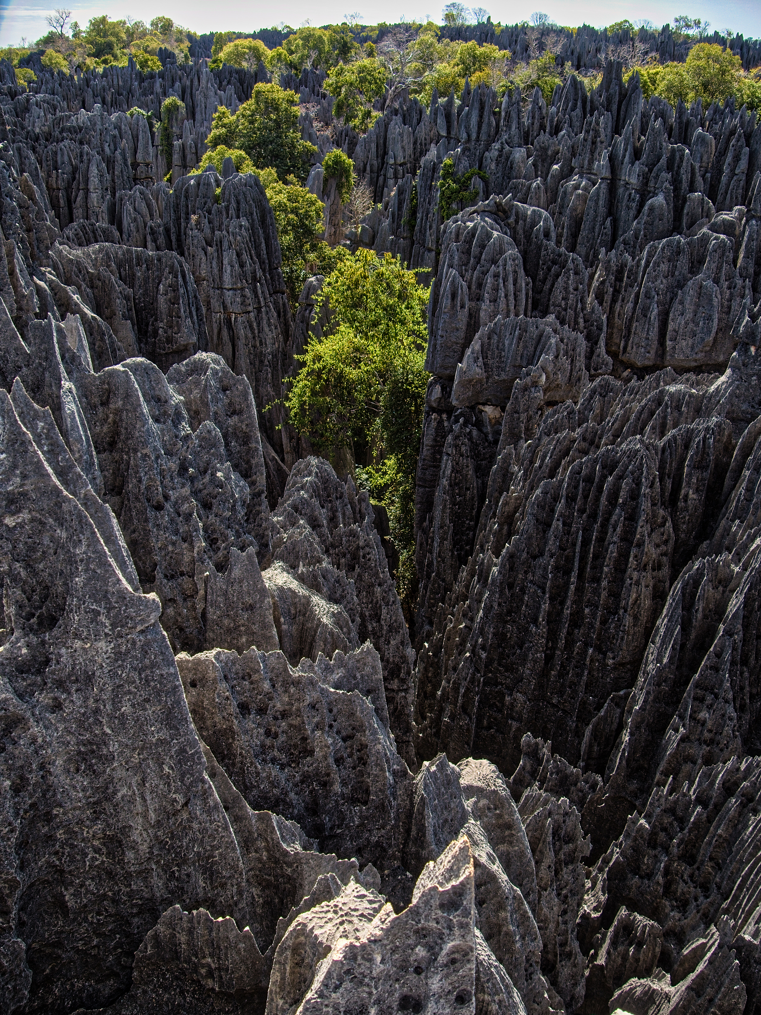 探索地理与地质：你想了解哪个地区？