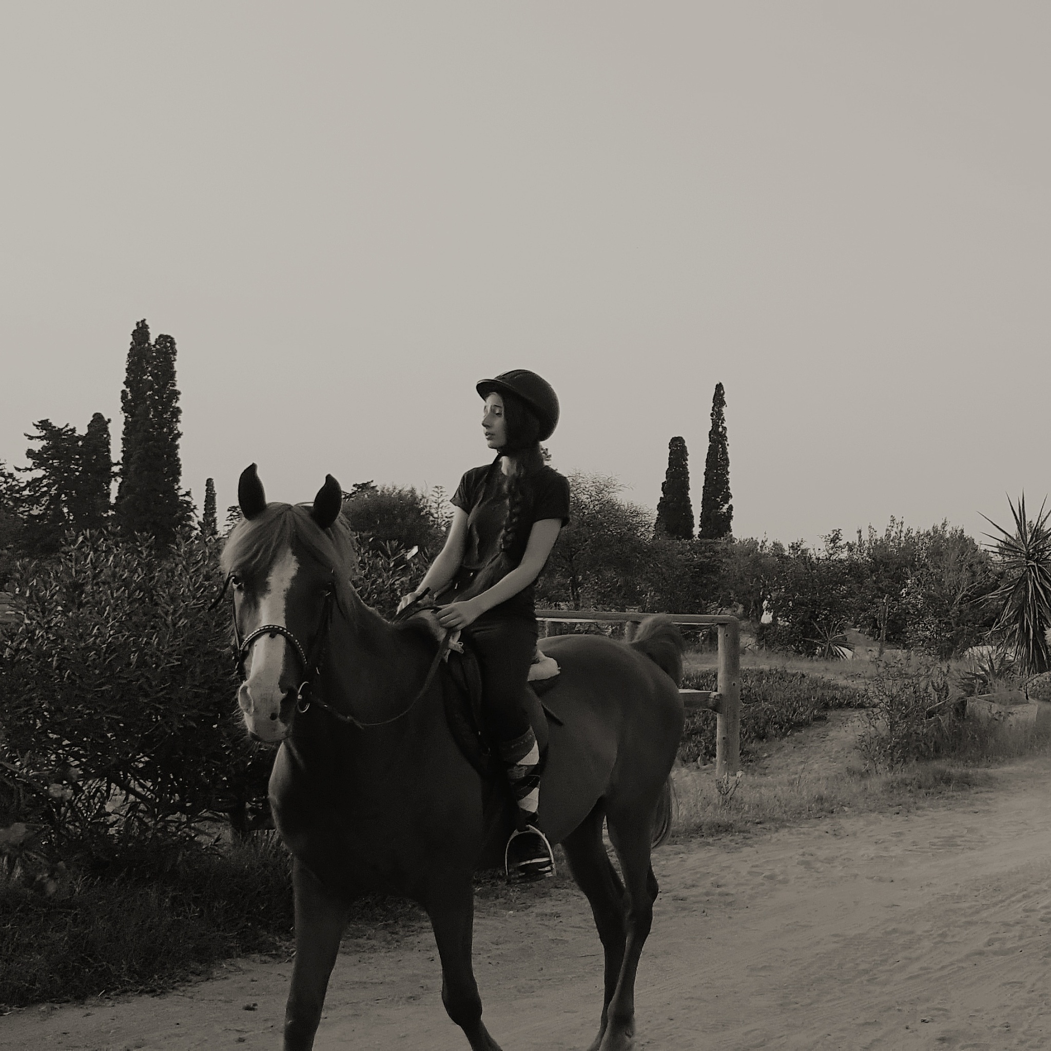 根据以下内容写出一条30字的短视频标题：The Turin Horse 2011 - 一部匈牙利黑白电影讲述了一个老农民和他的女儿在一个偏远村庄的孤独生活影片没有对白节奏缓慢被认为是一部极具挑战性的艺术电影。