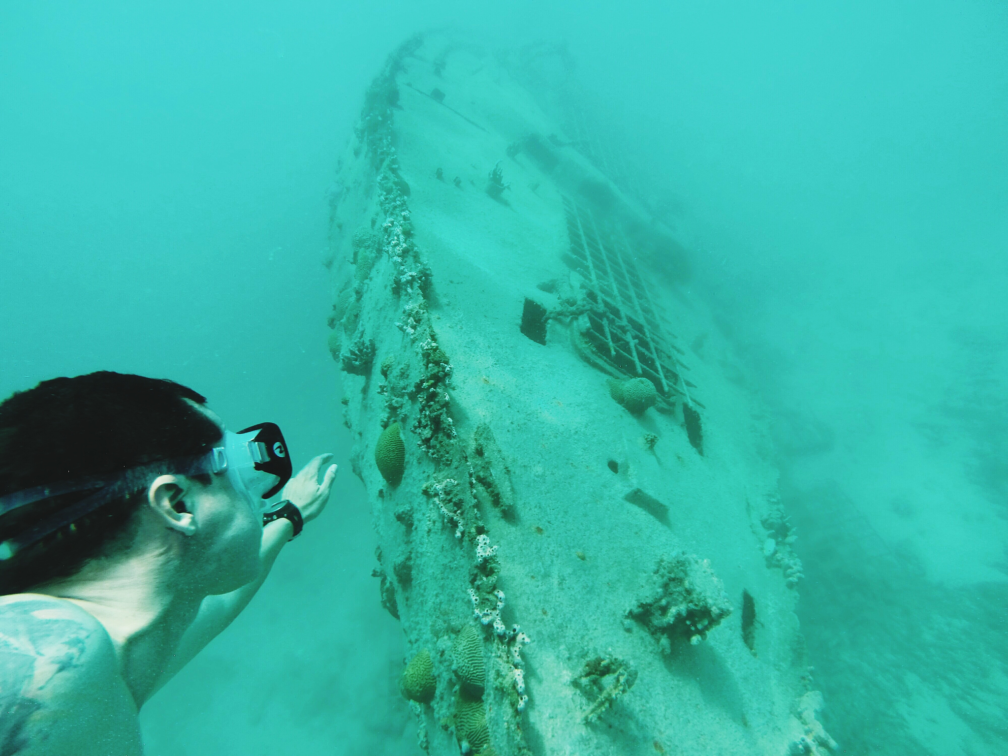 水下垃圾清理：保护海洋生态系统，维护人类健康