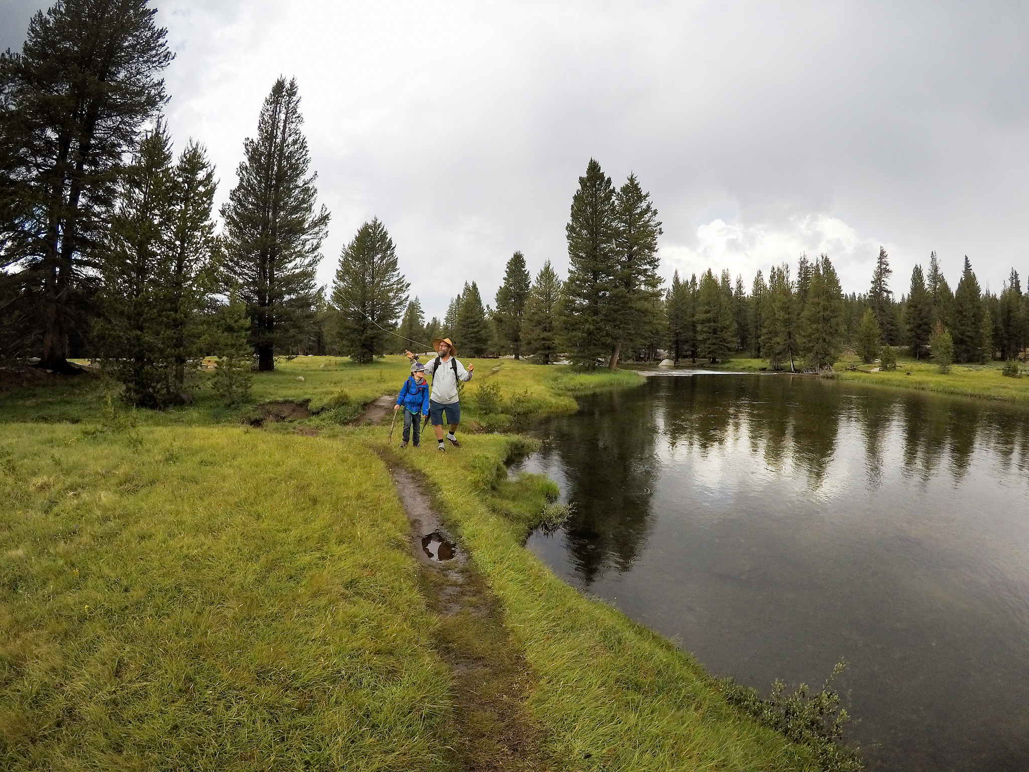 PR视频剪辑入门到精通：系统学习指南与技巧