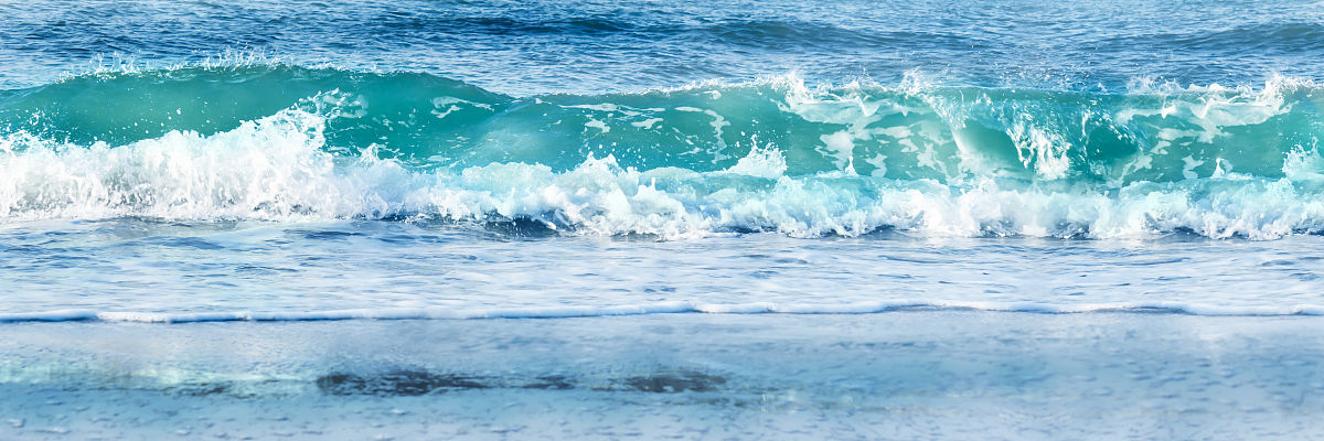 风和日丽的作文：阳光、清新、快乐的一天