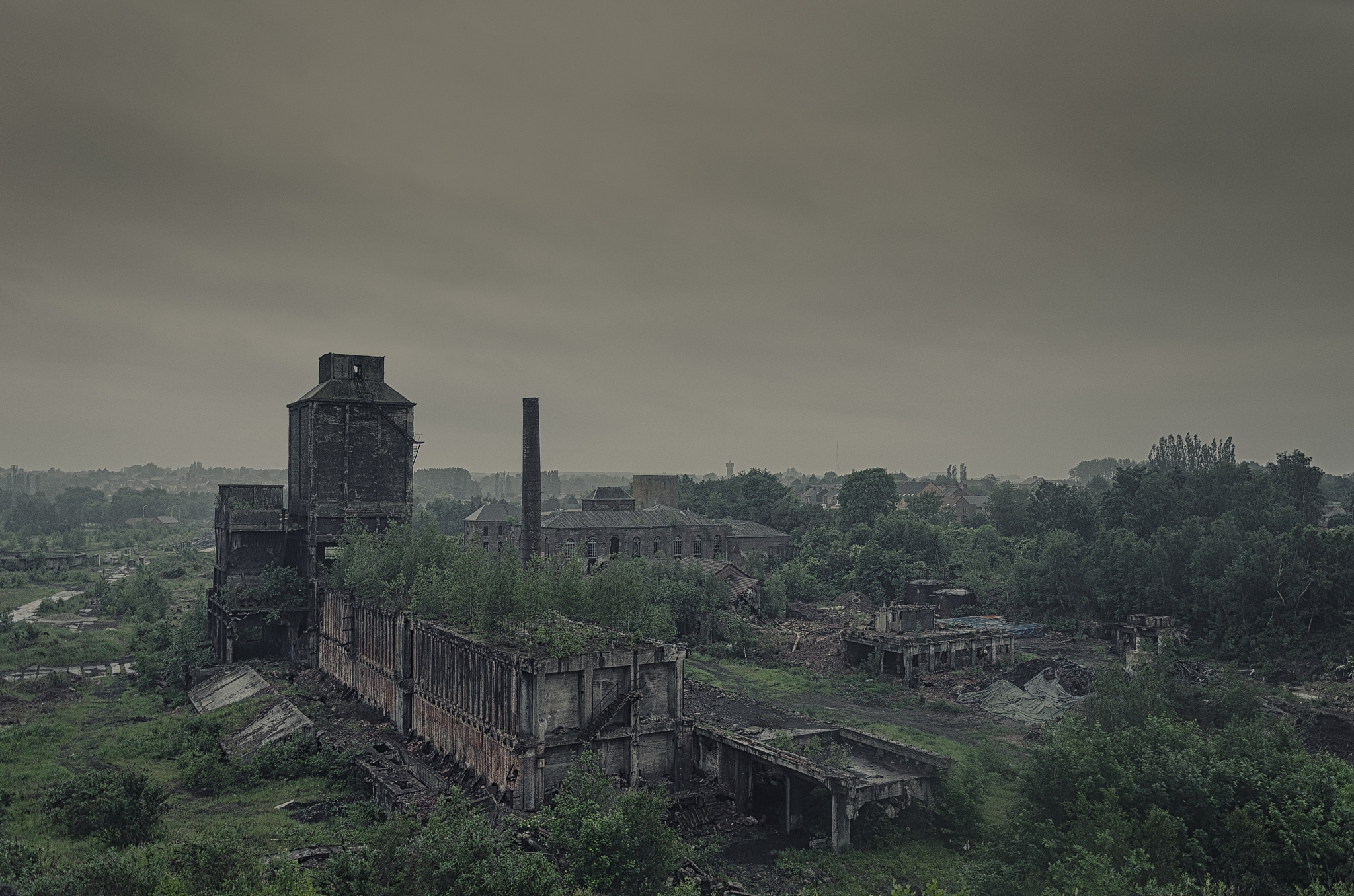 末日废土中的希望之光：燃烧的希望