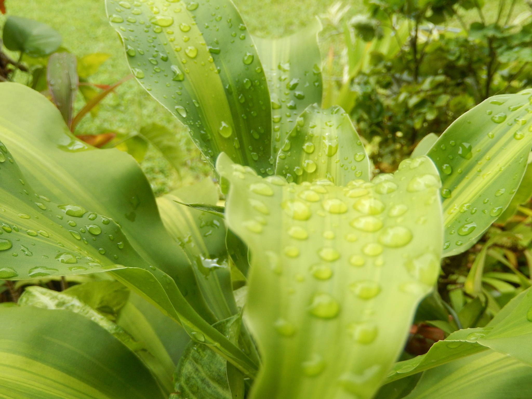 资源与环境专业属于什么大类就业前景怎么样