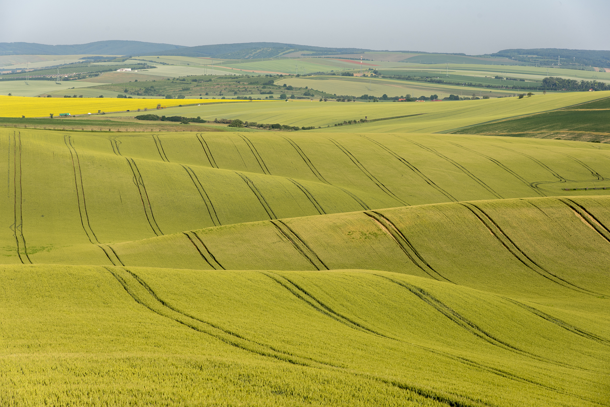fields