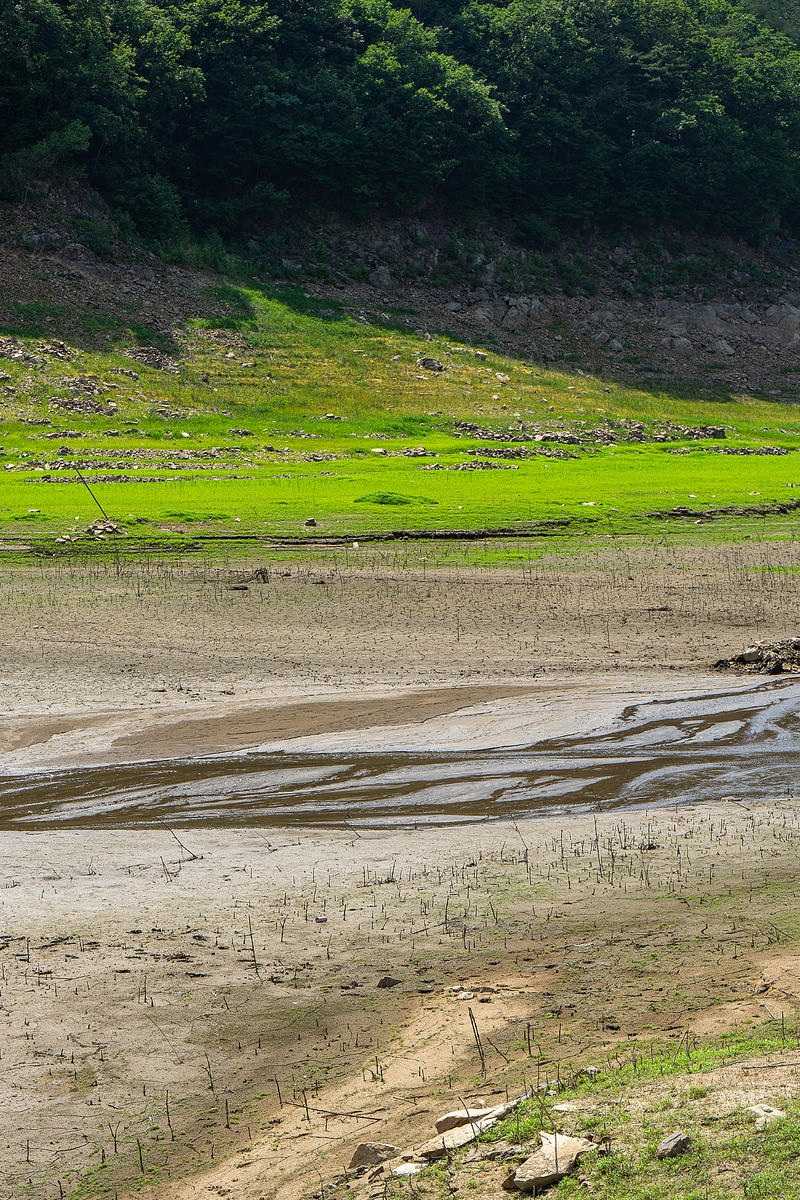 请梳理以下引言草地的高效可持续利用是现代畜牧业高质量发展的重要基础1。发展草地不仅生产了大量优质饲草弥补家畜饲草不足缓解天然草地放牧压力和农区冬春饲草料短缺还能改善土壤肥力固碳增汇增强系统可持续性2。甘南草原是指我国青藏高原东北边缘地带甘肃甘南藏族自治州境内的天然草地曾被称为亚洲第一牧场 3。 近几十年来受全球气候变化的影响加之不合理的草地利用方式甘南草原呈现退化的趋势定点监测数据显示甘南草原退化