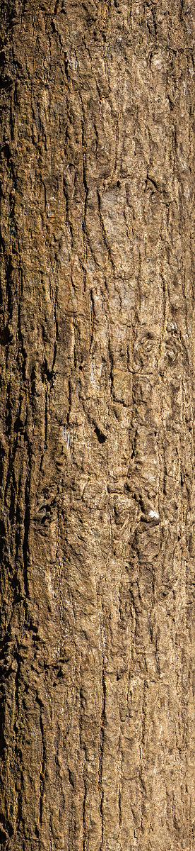 银行麒麟怎么更改屏幕分辨率顺序