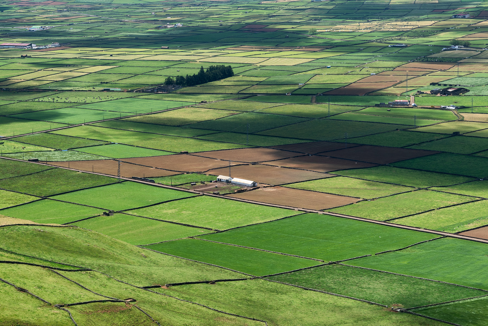 farmland and agriculture landscape