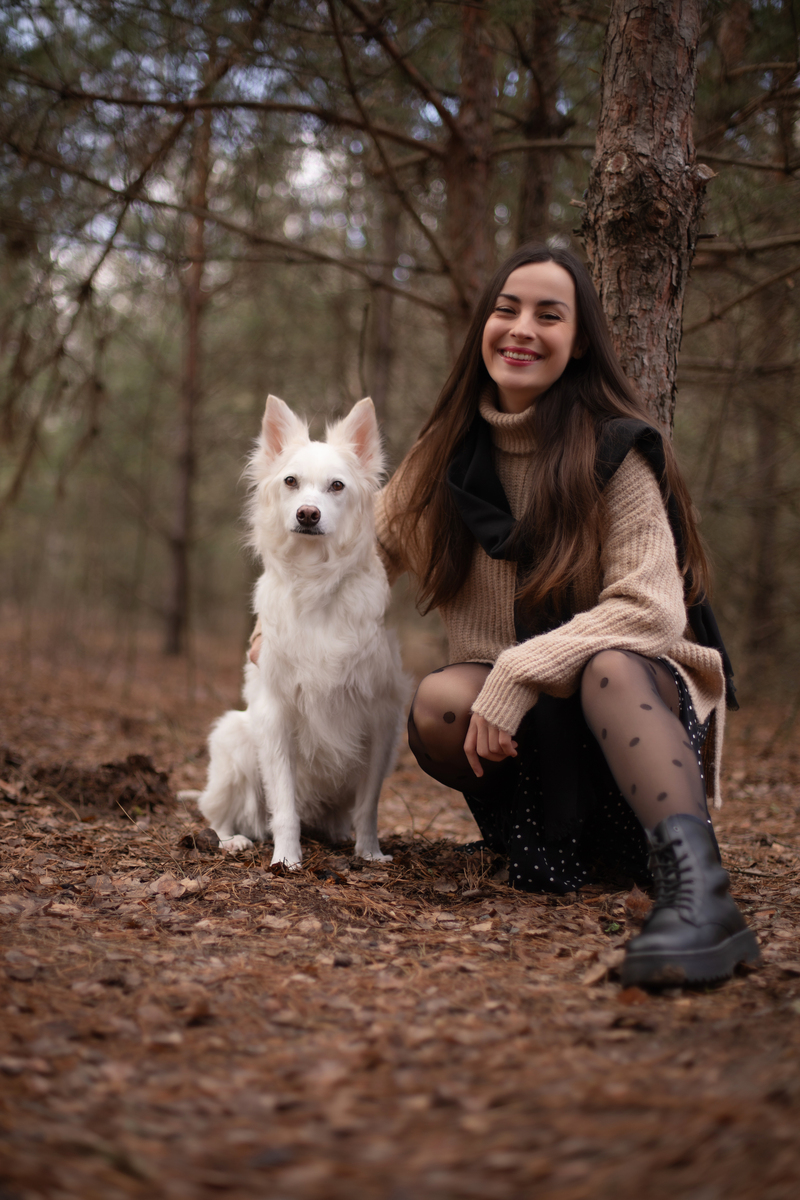 小幅度修改以上内容