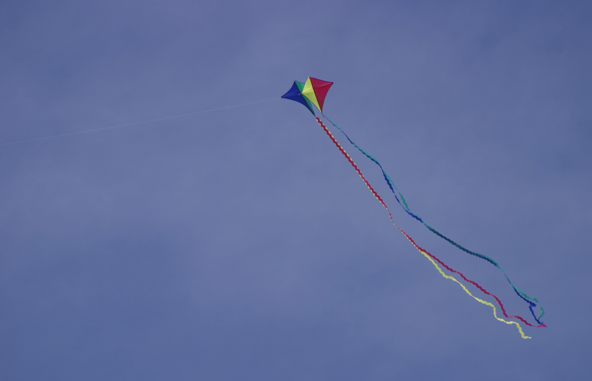 kites