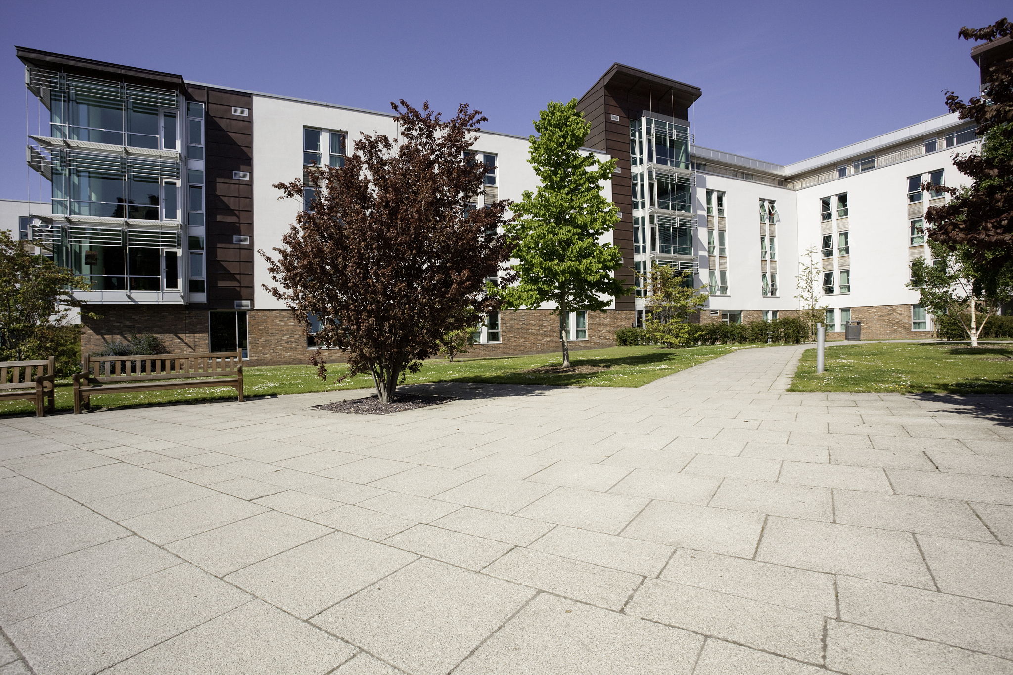 university campus