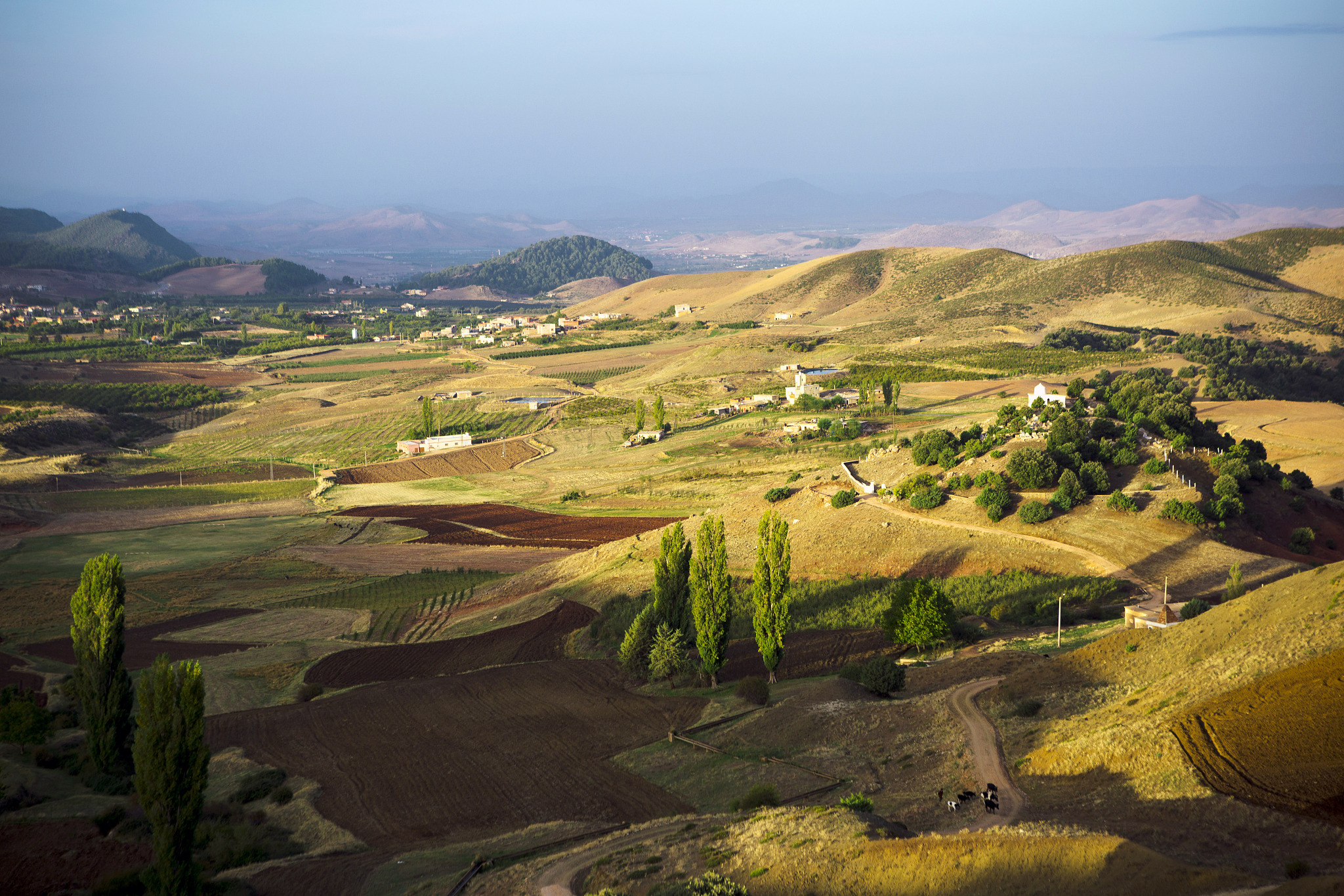 ifrane, middle atlas mountains, morocco