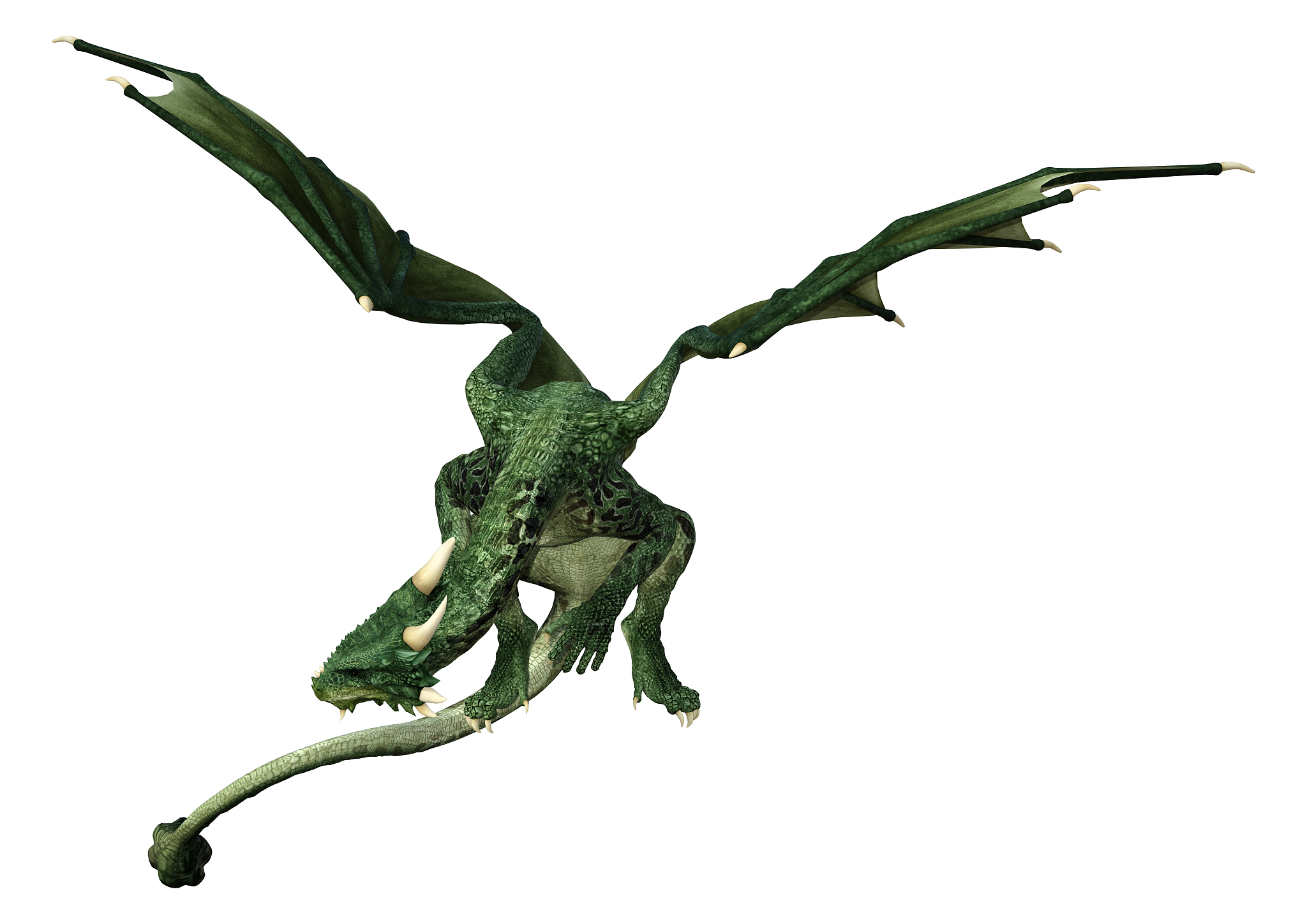 3d illustration fantasy dragon on white