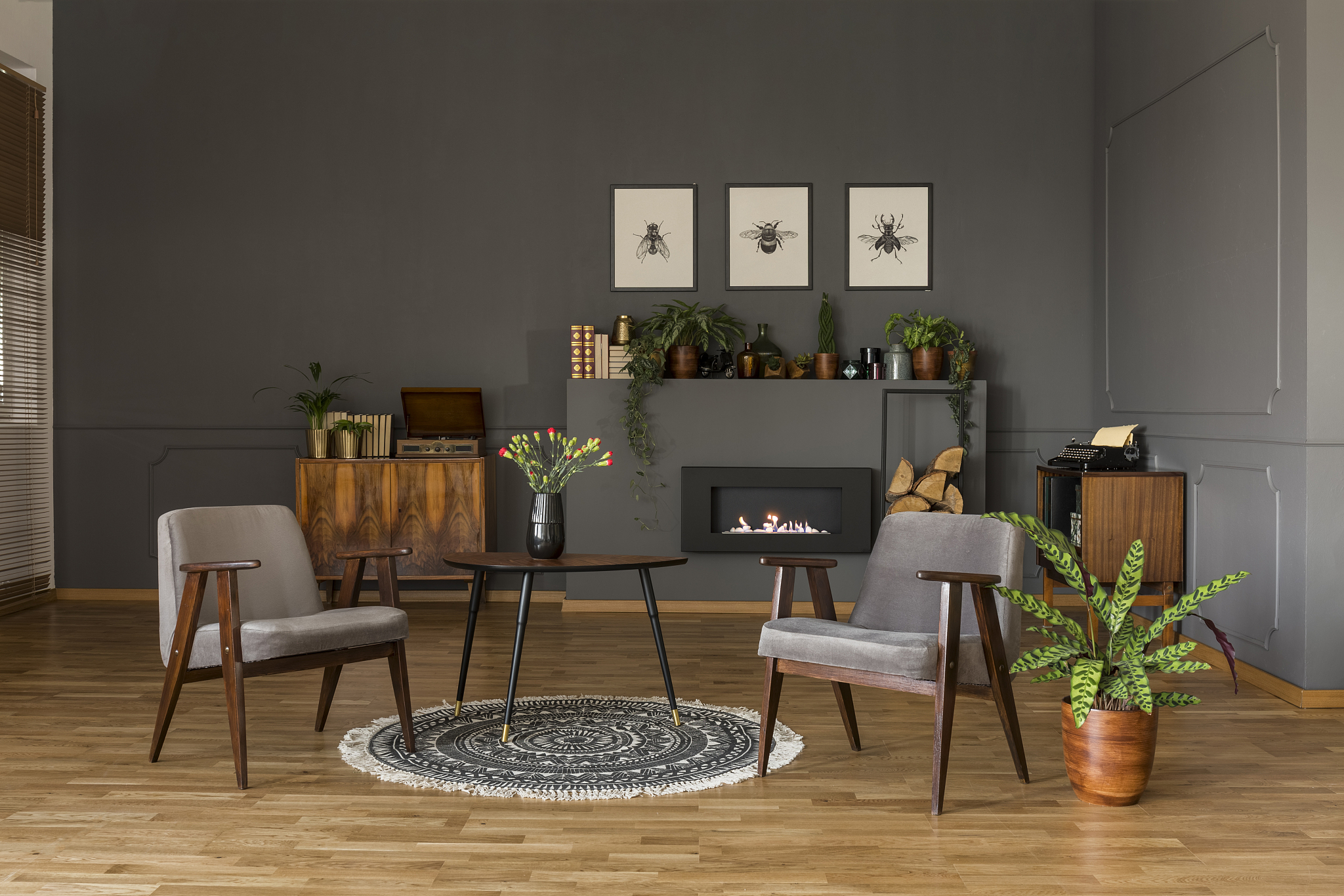 table with tulips on rug between grey armchairs in retro living 