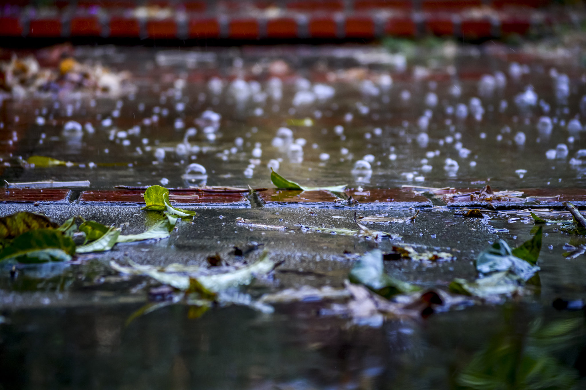 昆明的雨 汪曾祺 原文