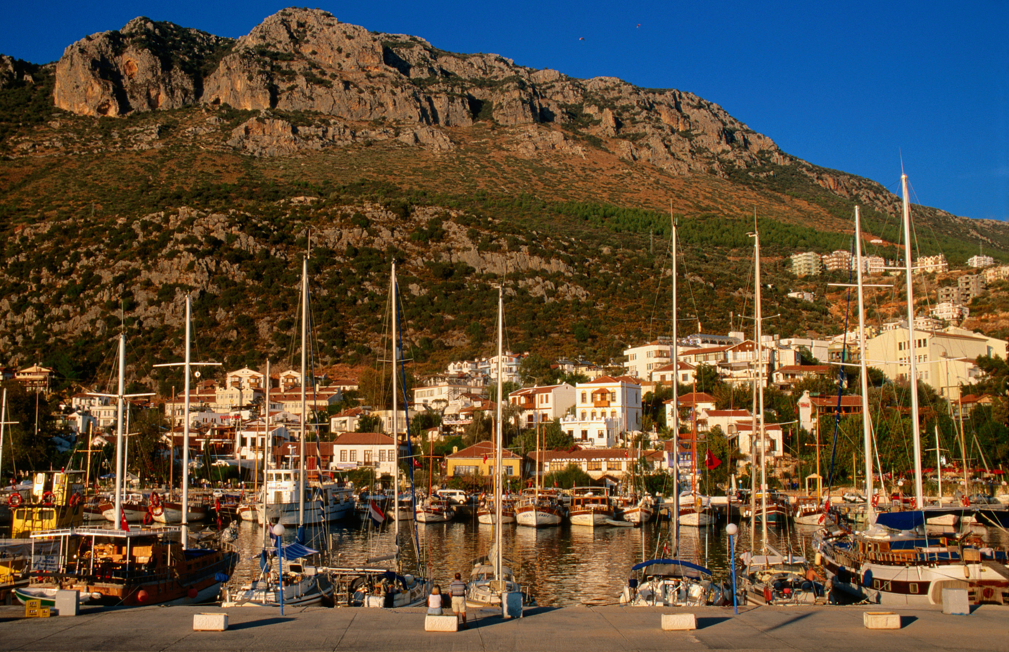 harbour and town with mountain behind. .