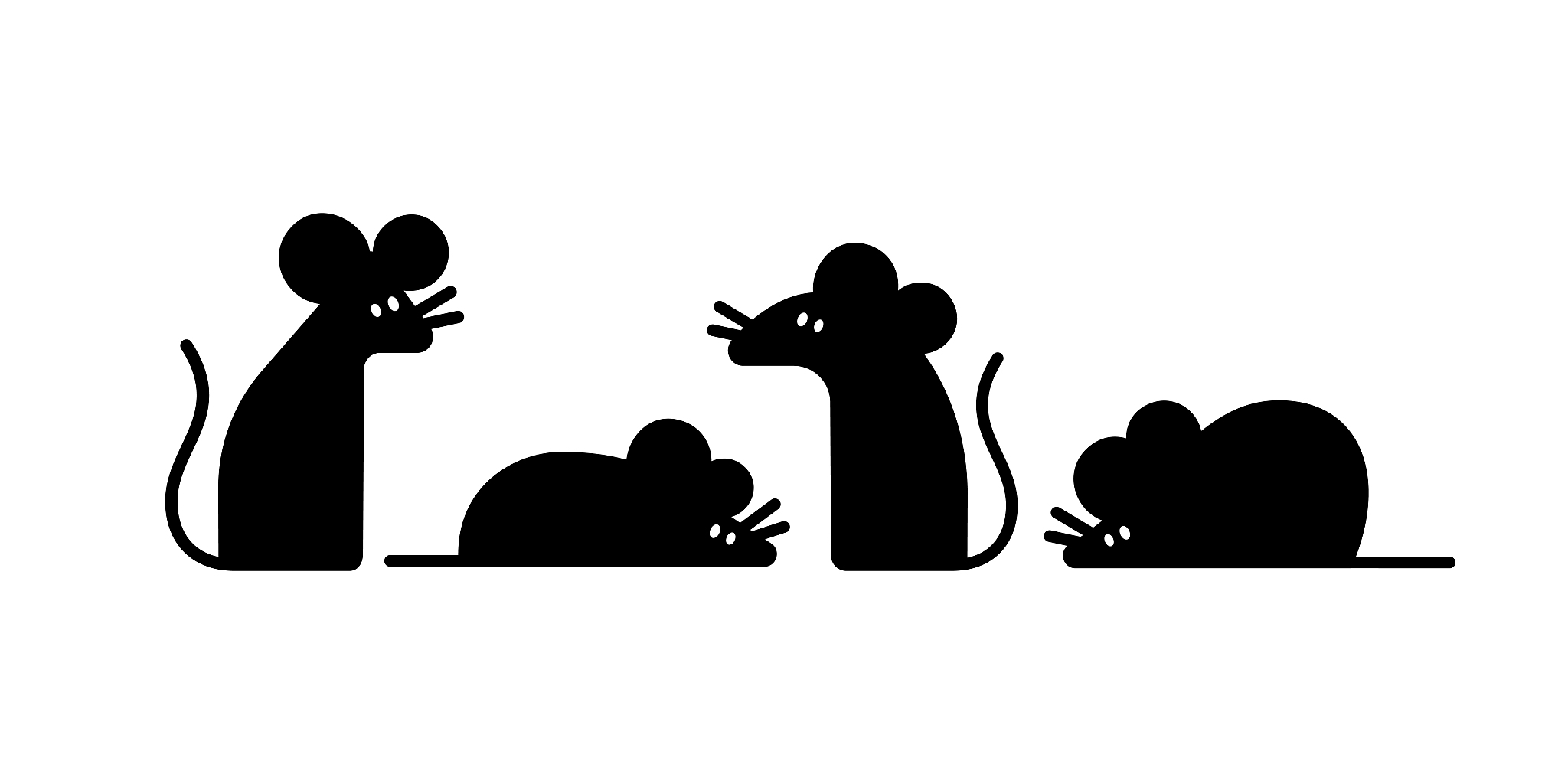 什么老鼠用四条腿走路