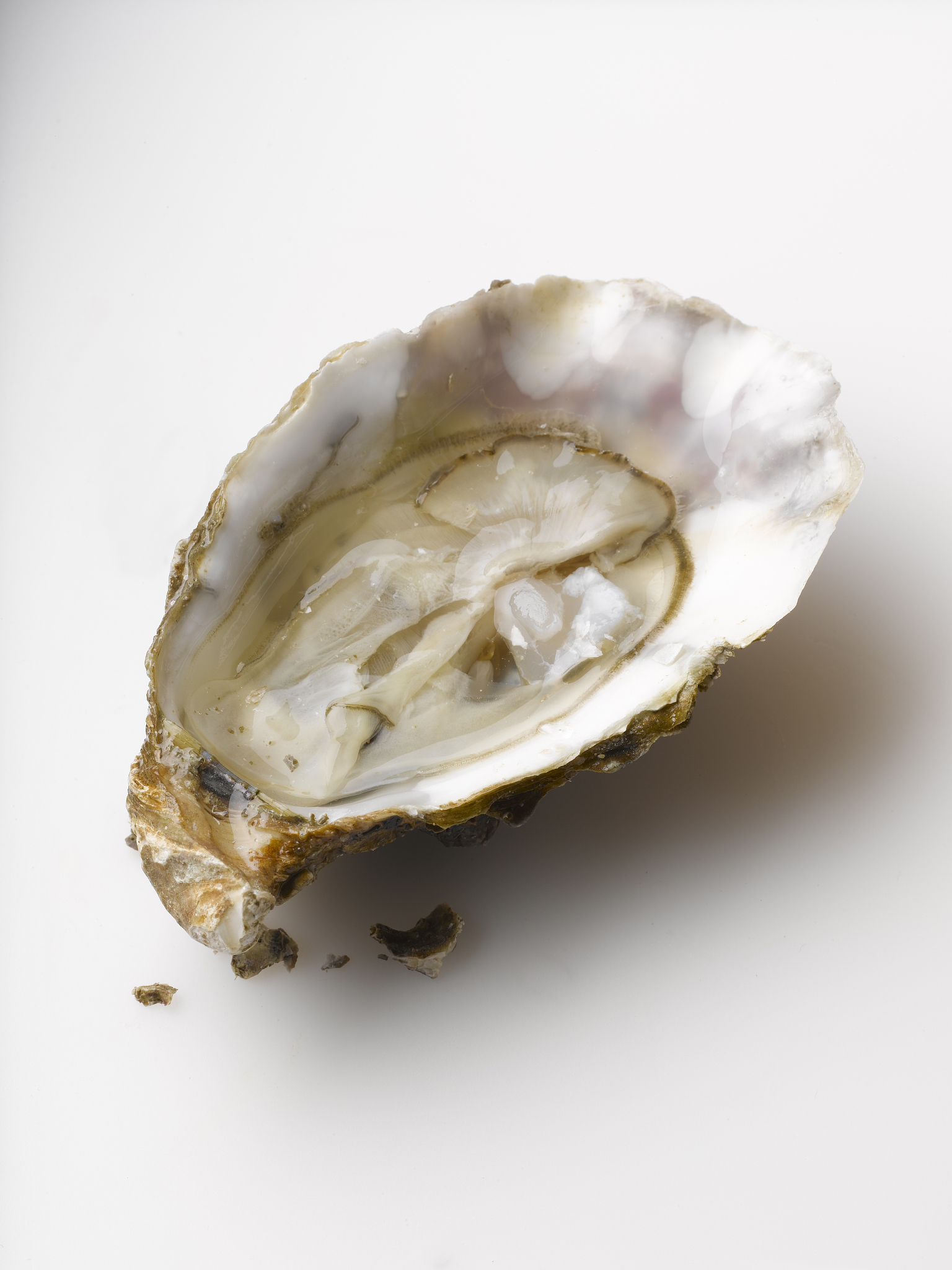 生蚝壳内壁发黑