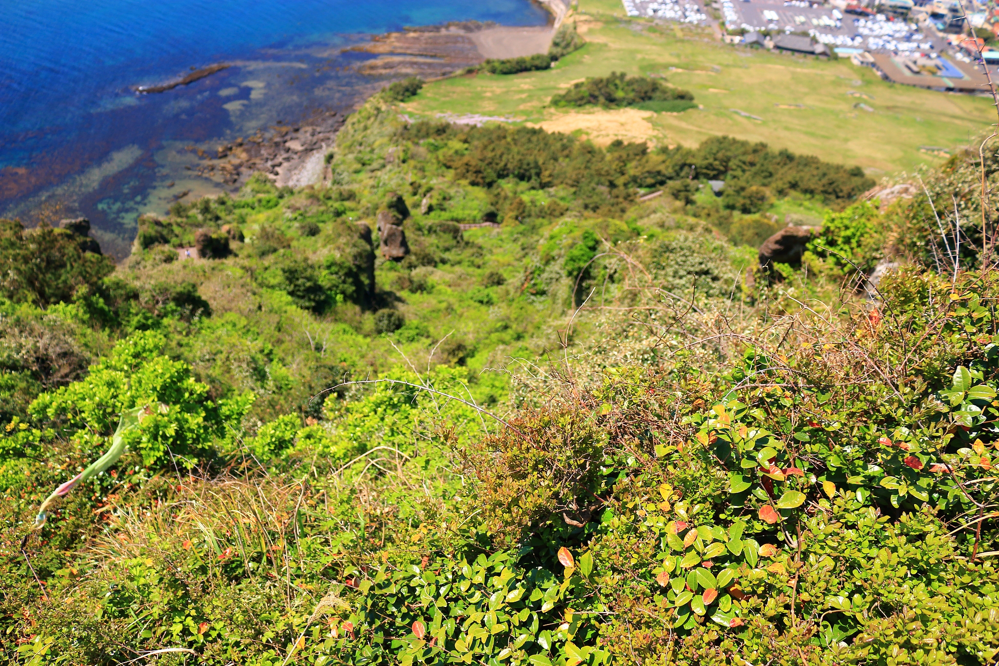 seongsan sunrise peak, unesco world heritage site, sunrise, sunr