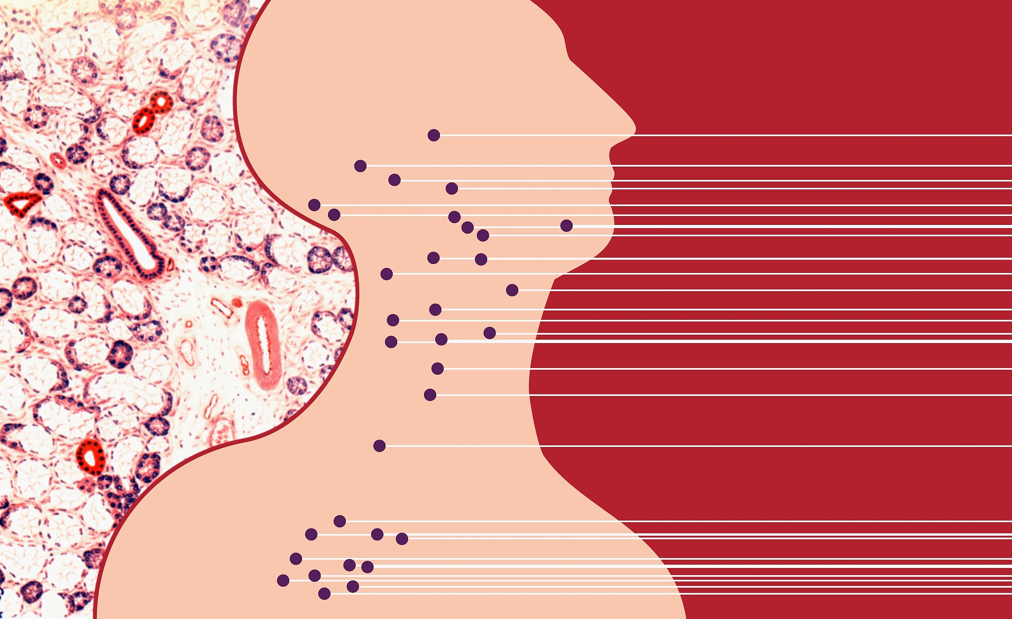acupuncture pressure points demarcated on an outline of the huma