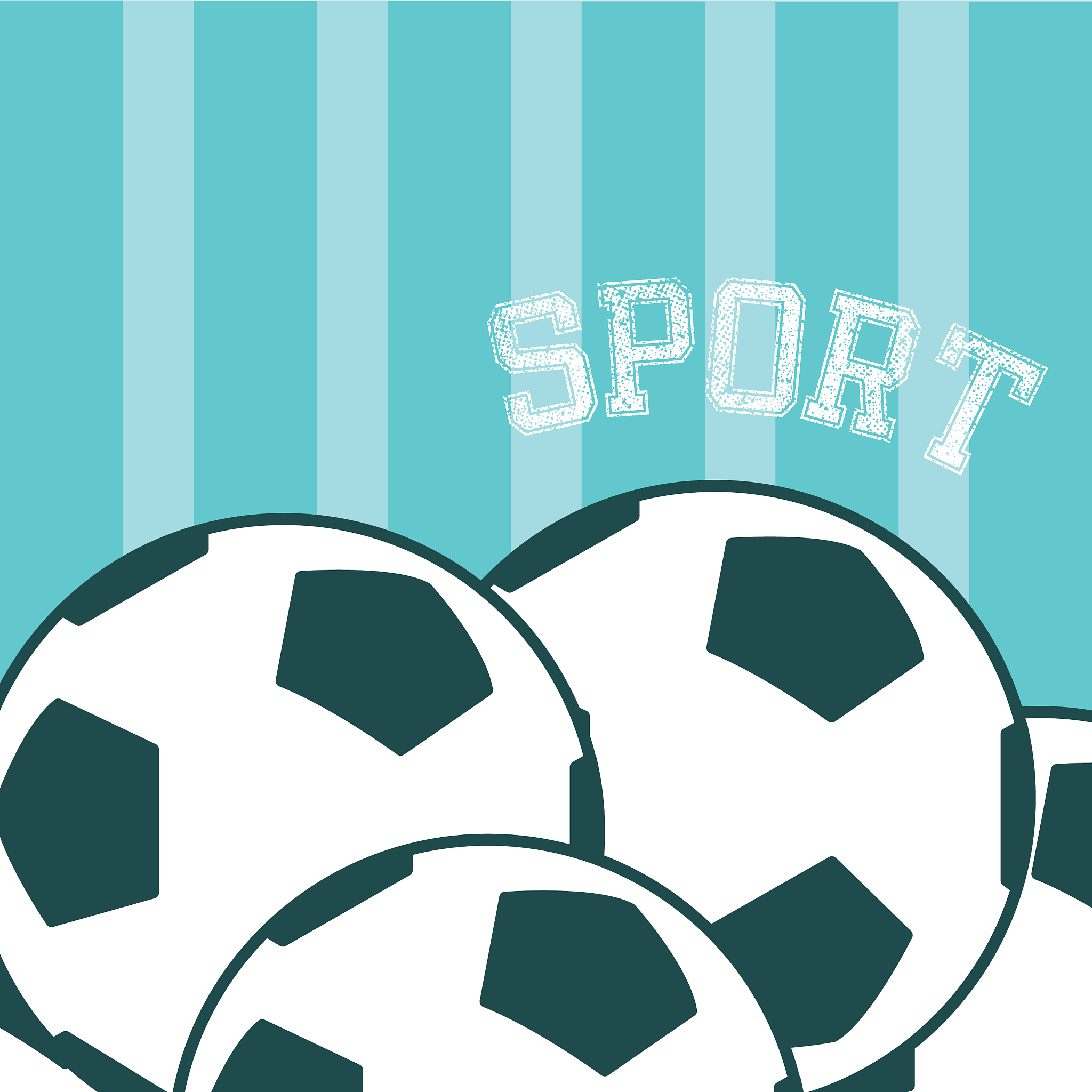 sport soccer balls