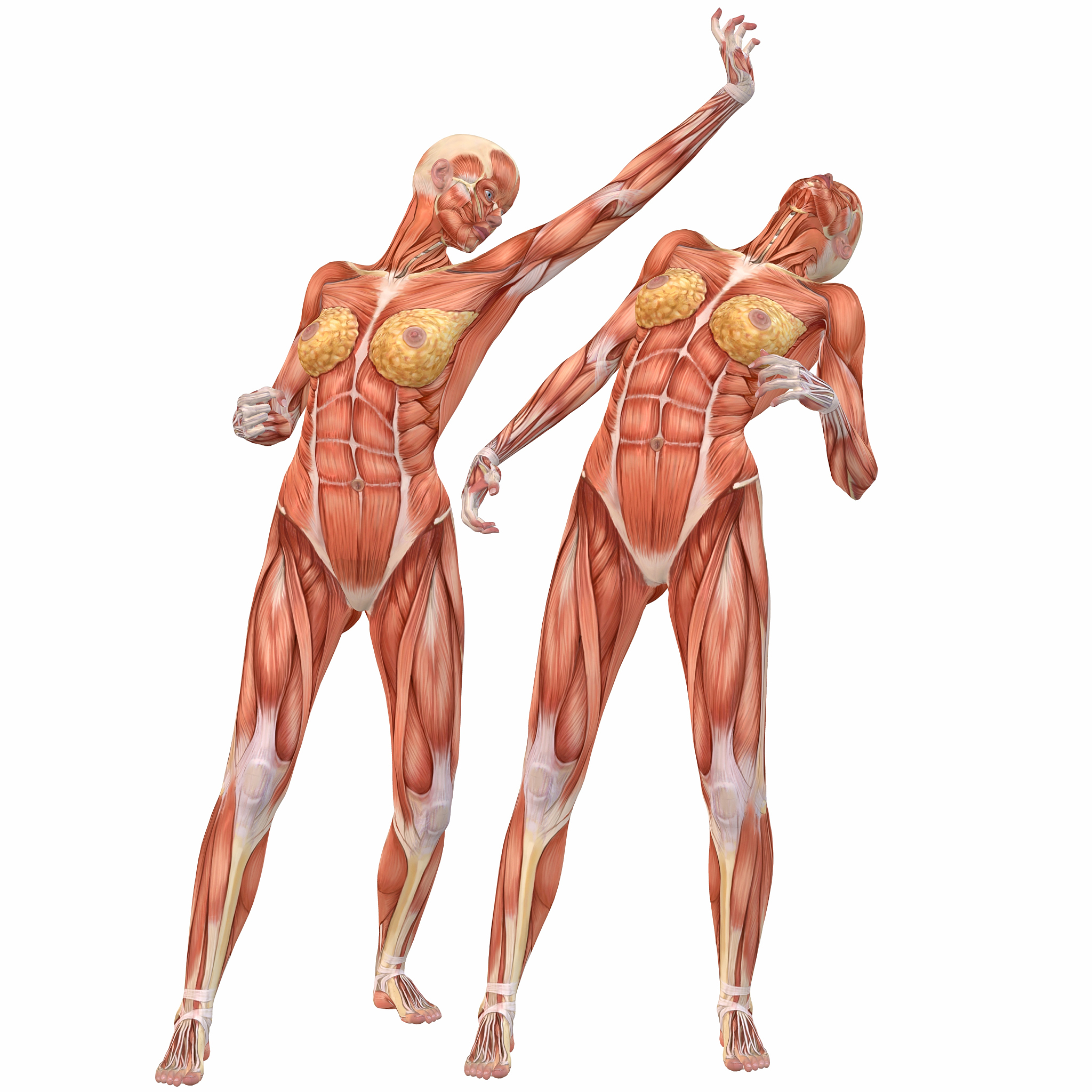 核心力量：定义、益处与重要性