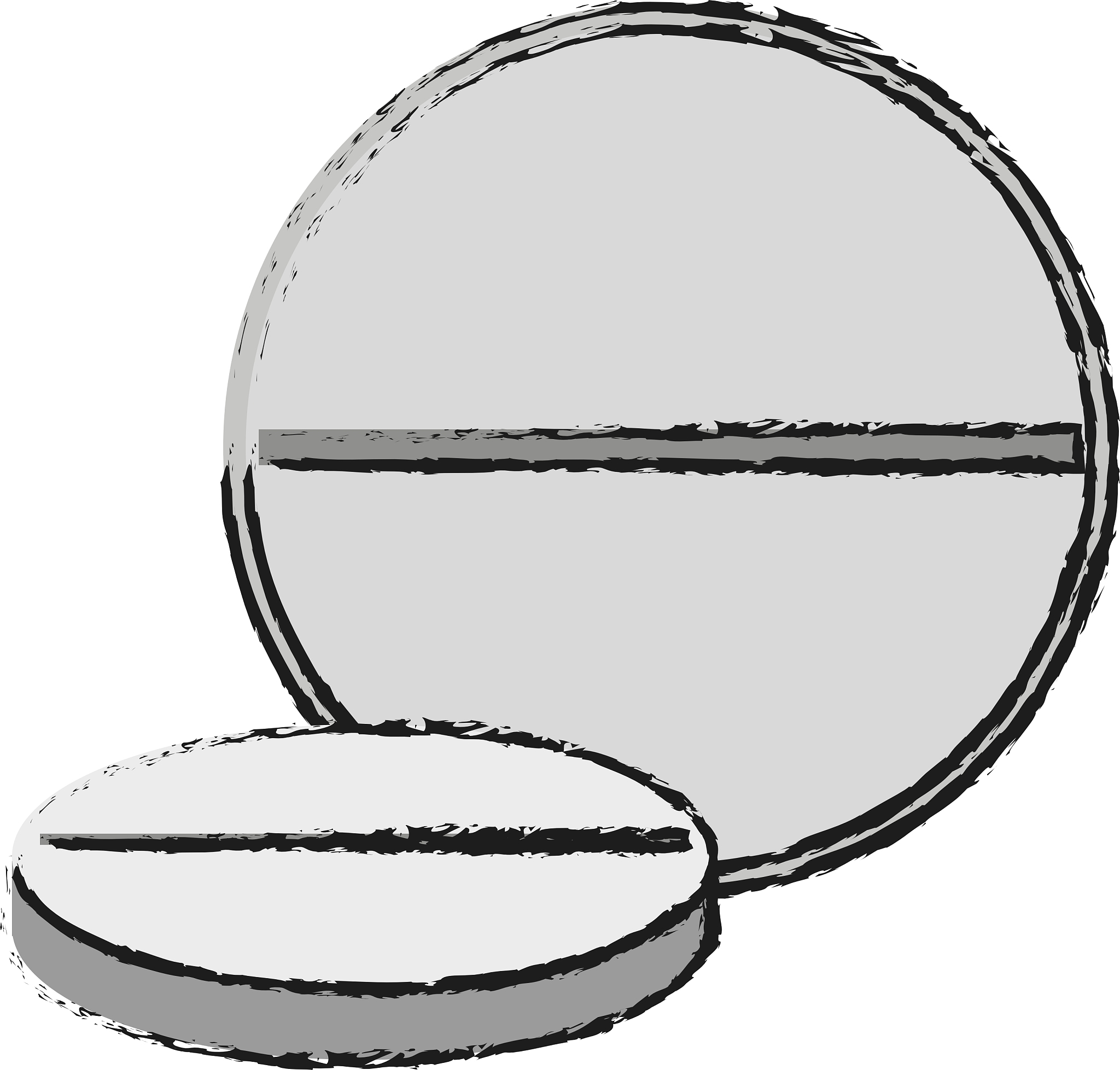 天津体育职业学院单招有药剂专业吗