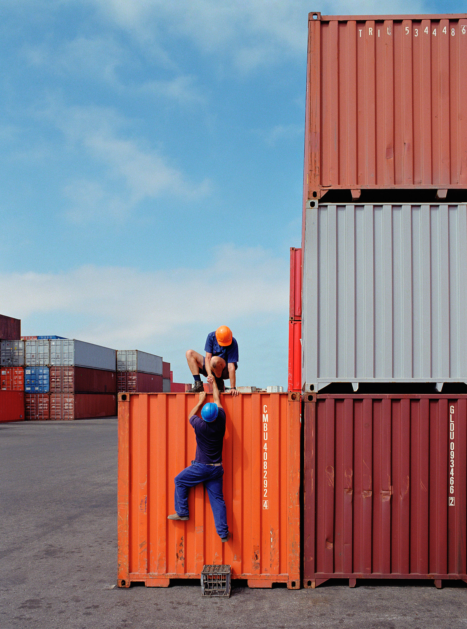 以物流公司运输业务操作为题写一篇实训总结100字