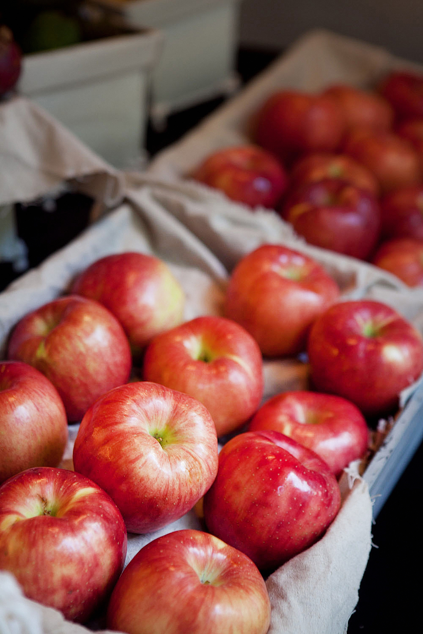 apple