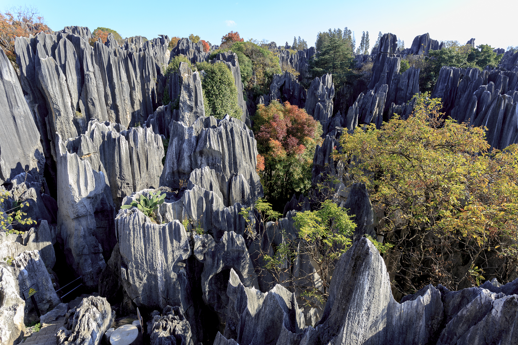 stone forest near kunming, yunnan china