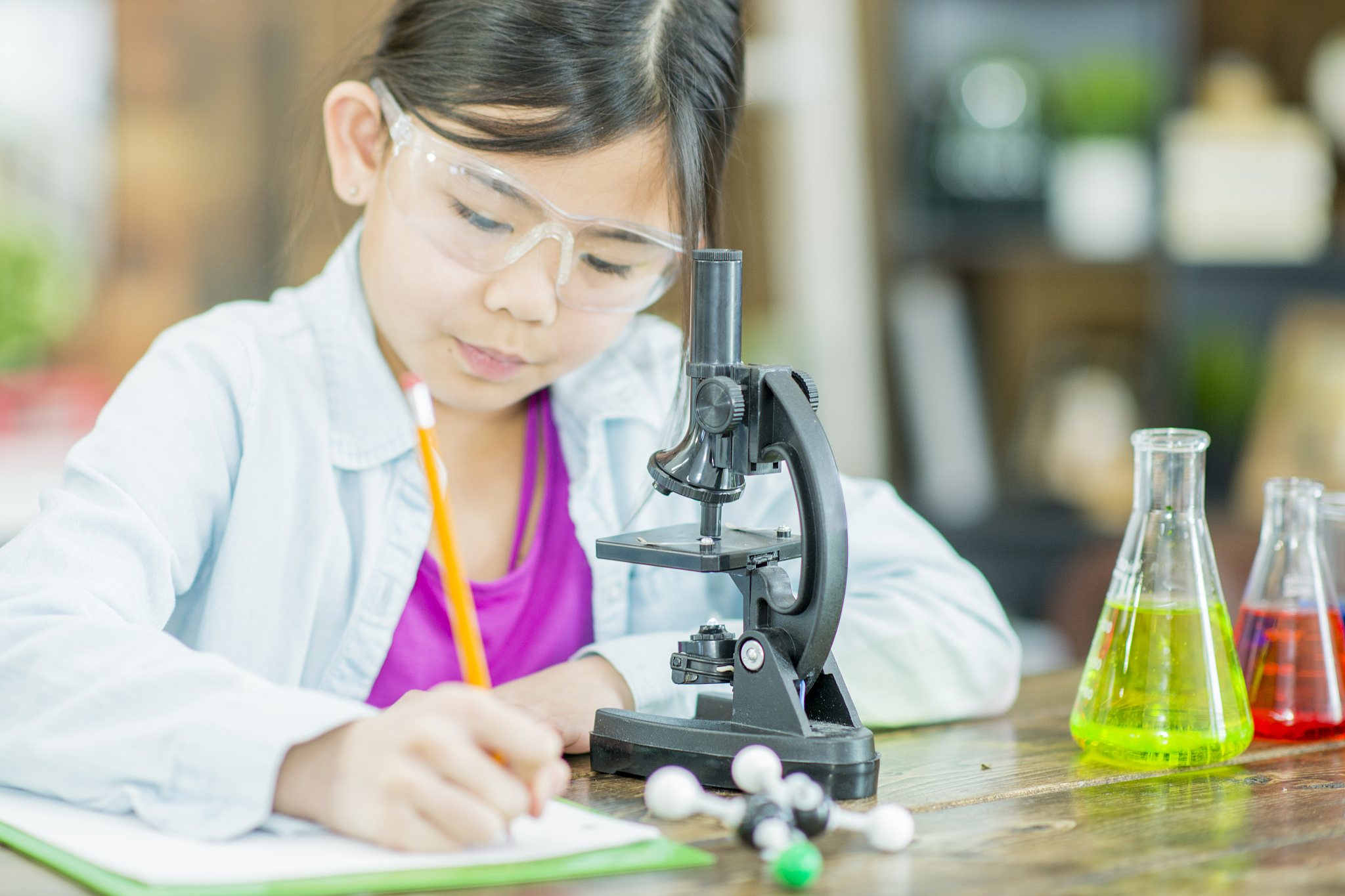 广东惠州商业学校2023年热门专业：商务管理、信息技术、旅游管理等