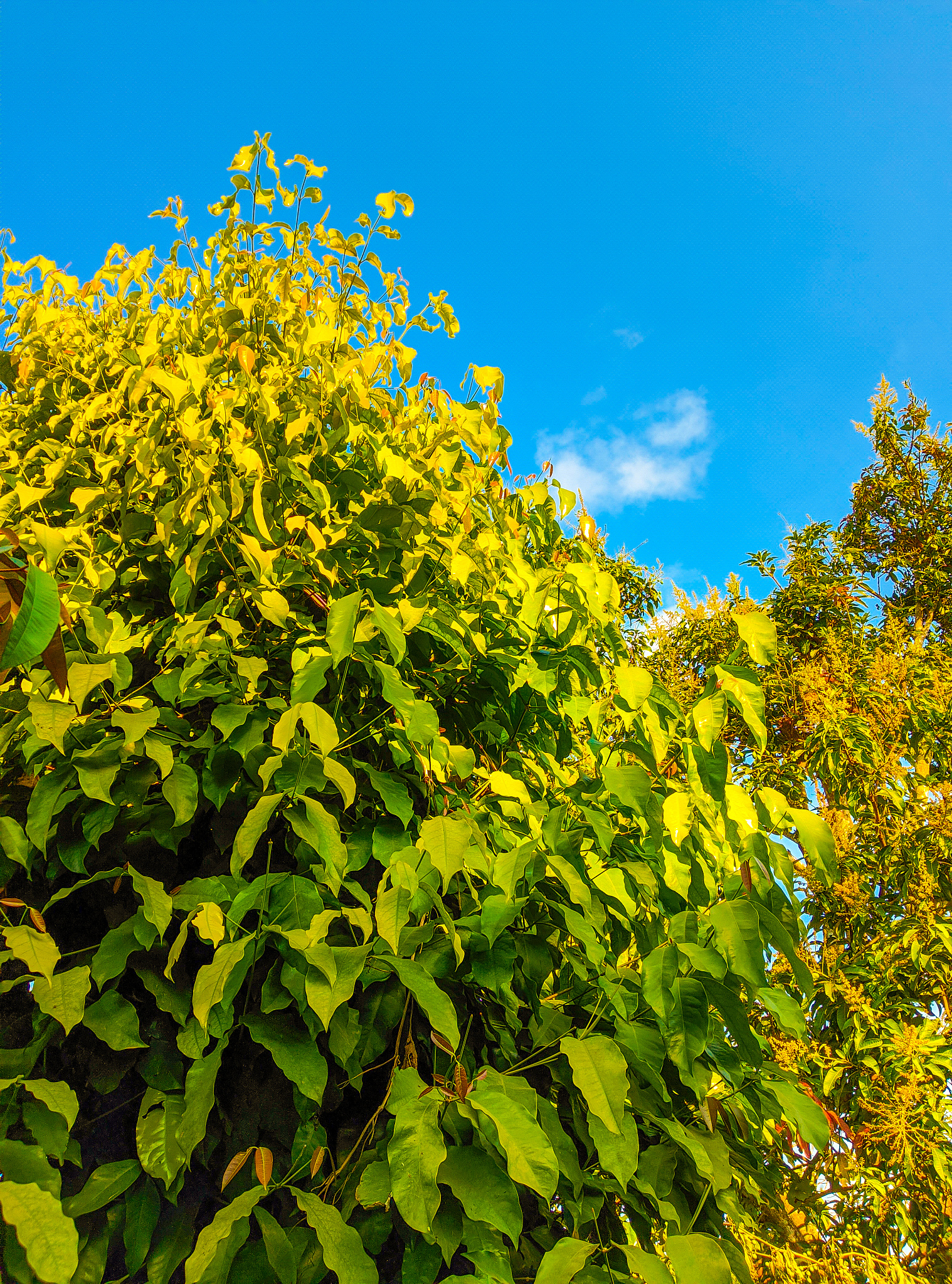 遵义重美职业技术学校学前教育专业教学质量怎么样？