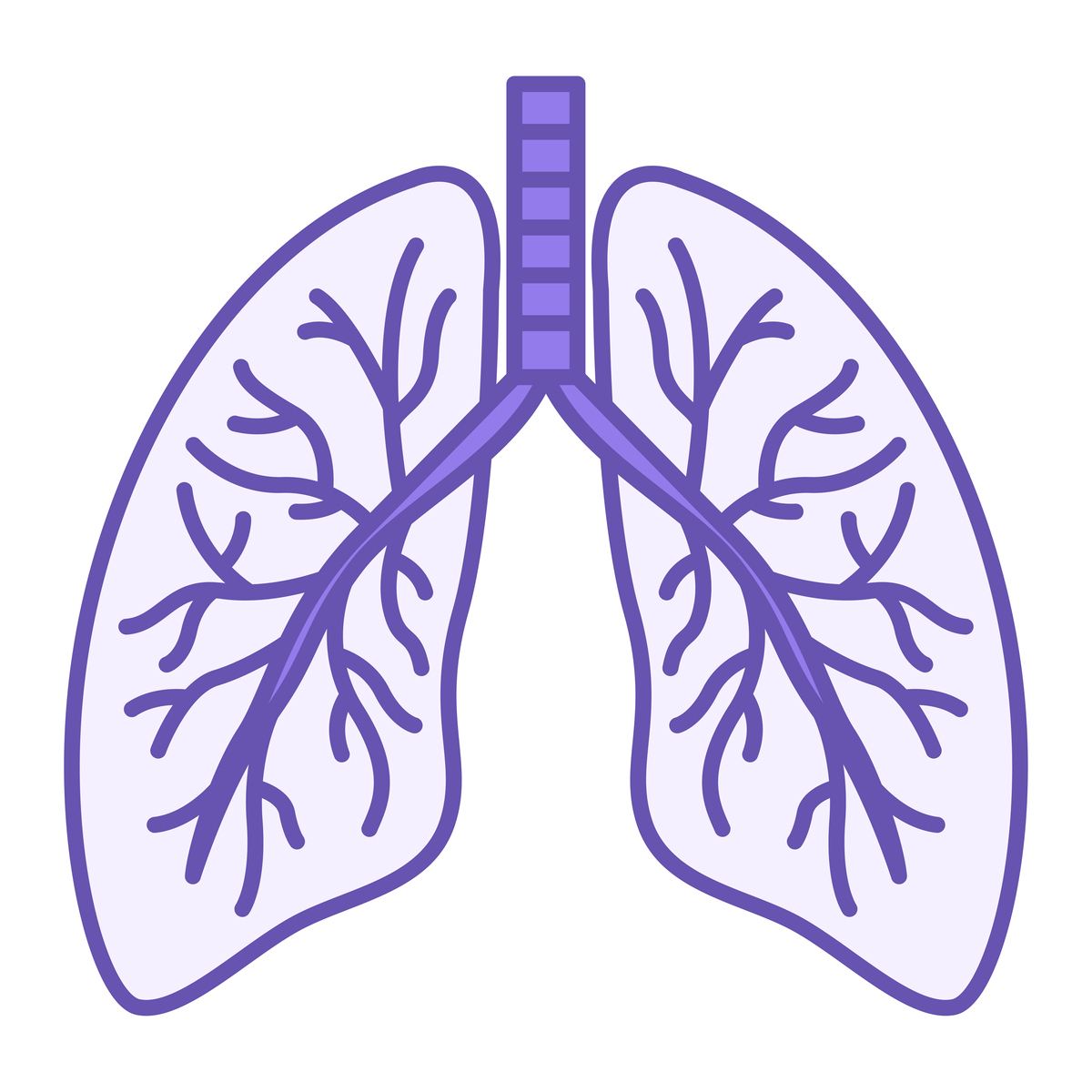 重新为《支气管疾病：你需要了解的重要信息 如何保护你的支气管健康？ 支气管炎的症状与治疗方法 防止支气管疾病的5个有效方法 了解支气管扩张的原因与治疗方法 支气管哮喘：预防和治疗的最佳方法 呼吸系统健康的秘诀：如何保护你的支气管 了解肺炎对支气管的影响与预防措施 儿童支气管炎的症状及治疗方法 支气管梗阻：预防和治疗的最好方式》生成一个新的标题