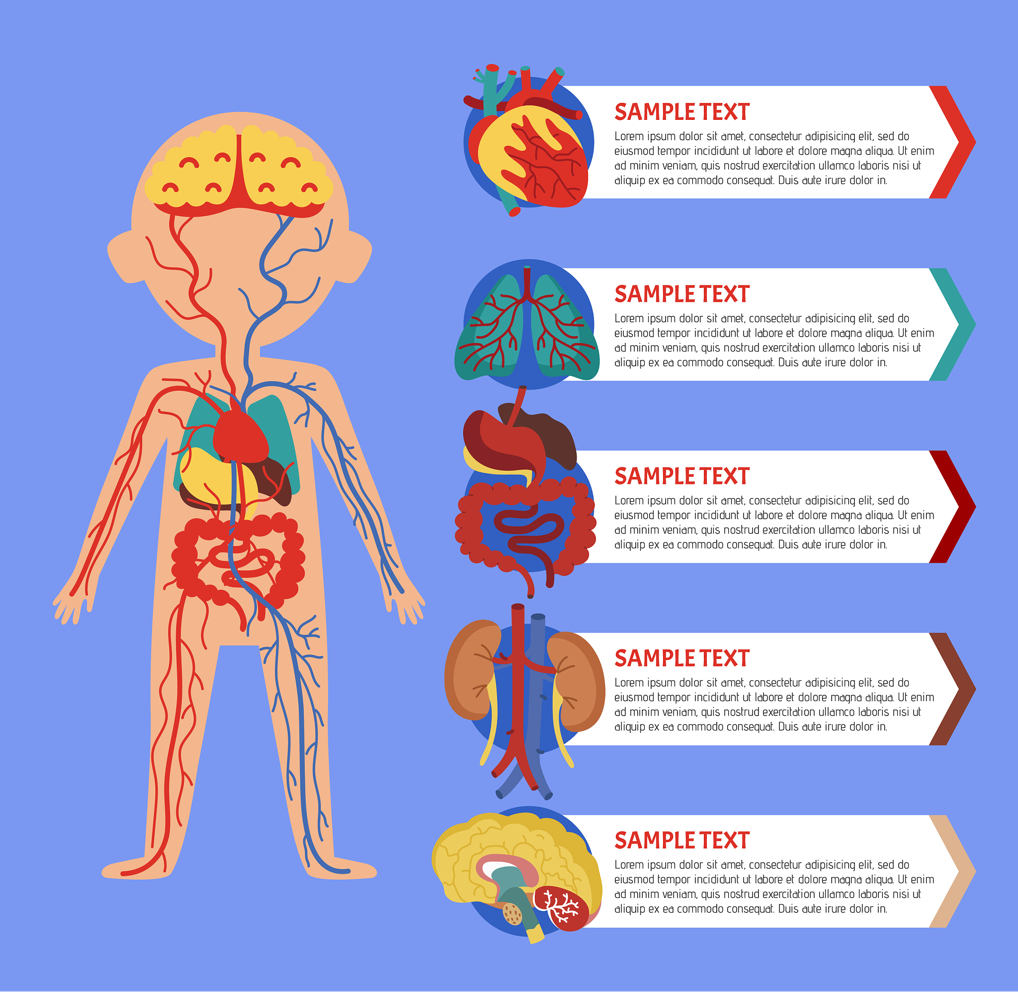 恶性肿瘤会导致消瘦吗？ 肿瘤消瘦的常见原因和情况