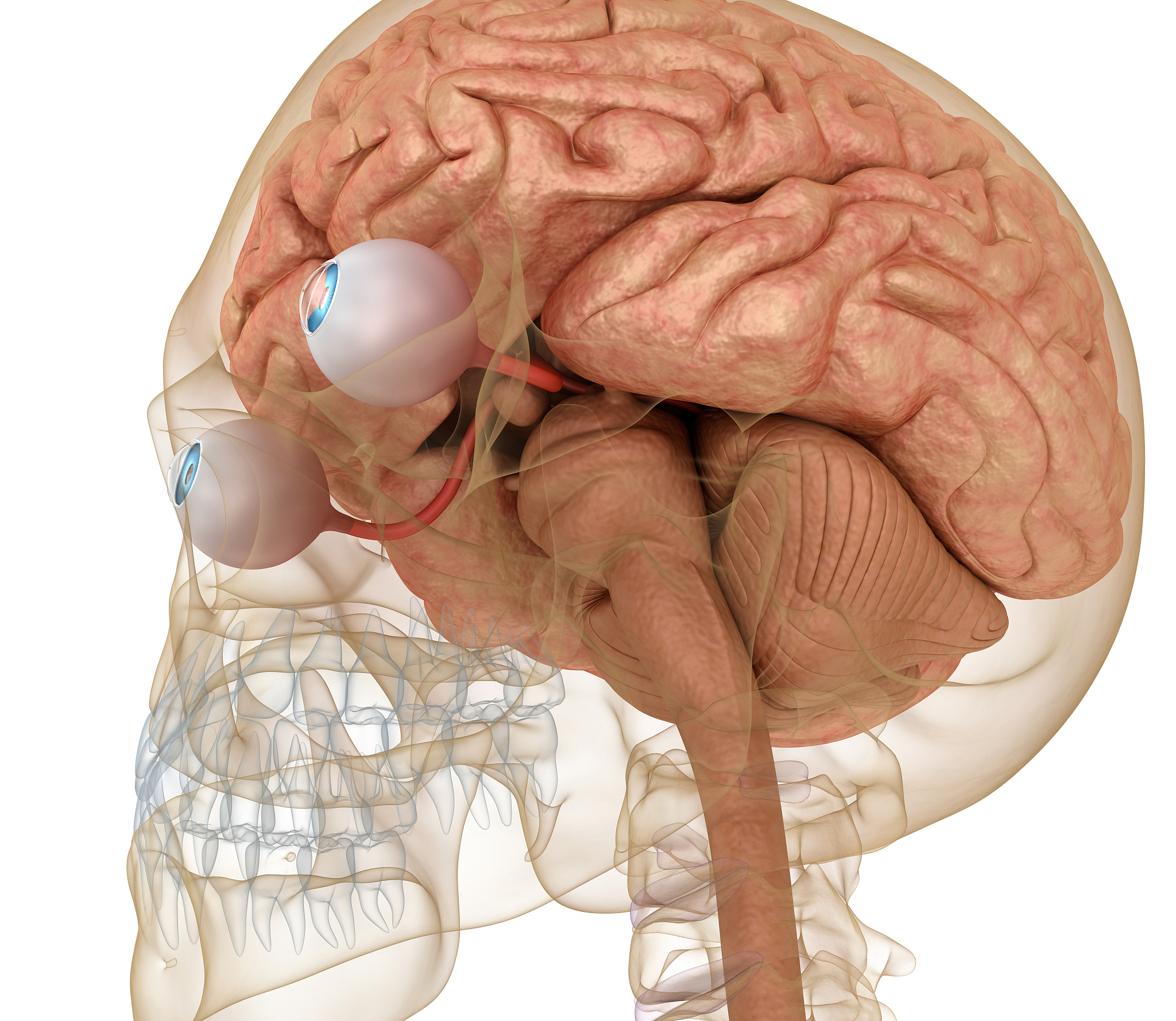 眼睛基础病对工伤鉴定有影响吗？影响因素及评估标准