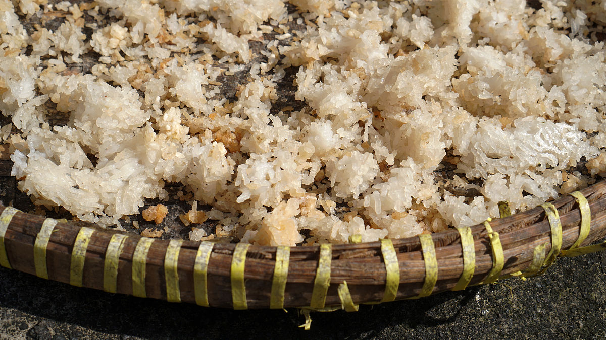 广东省农工商职业技术学校2022年招生简章 - 招生专业、报名时间、录取分数线