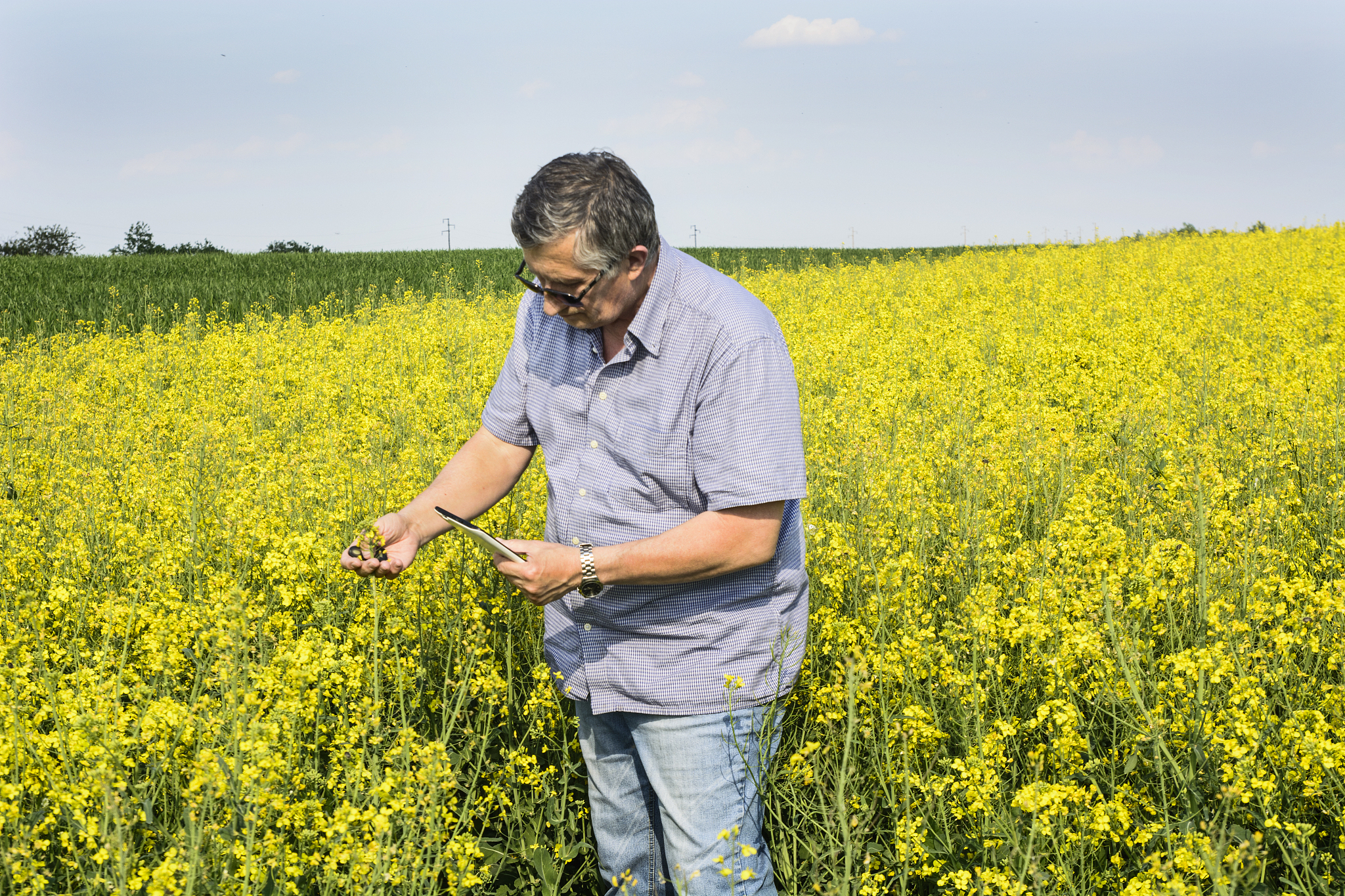 吉林园艺属于什么专业大类 学哪些课程