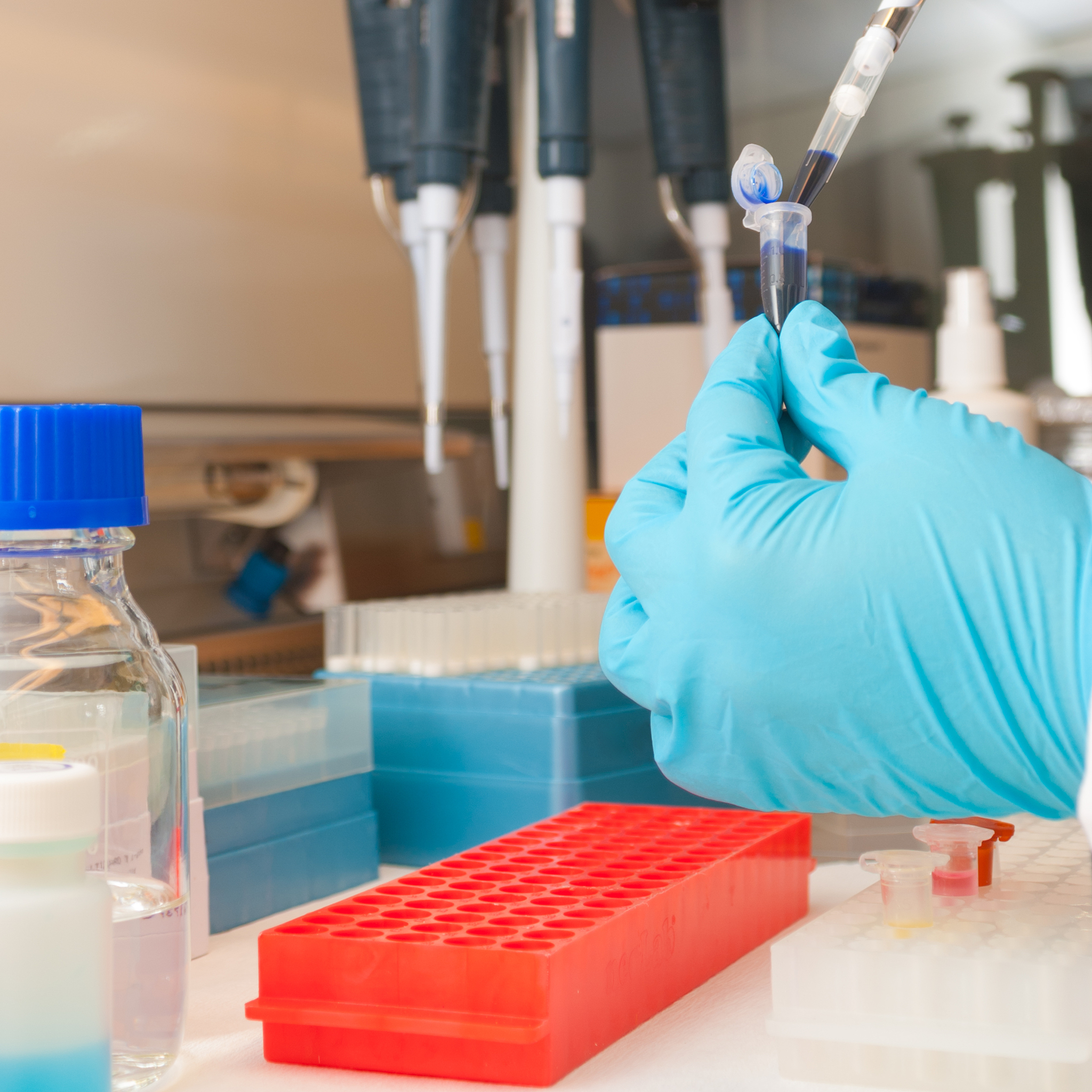 德州职业技术学院化工生物技术专业涉及哪些课程