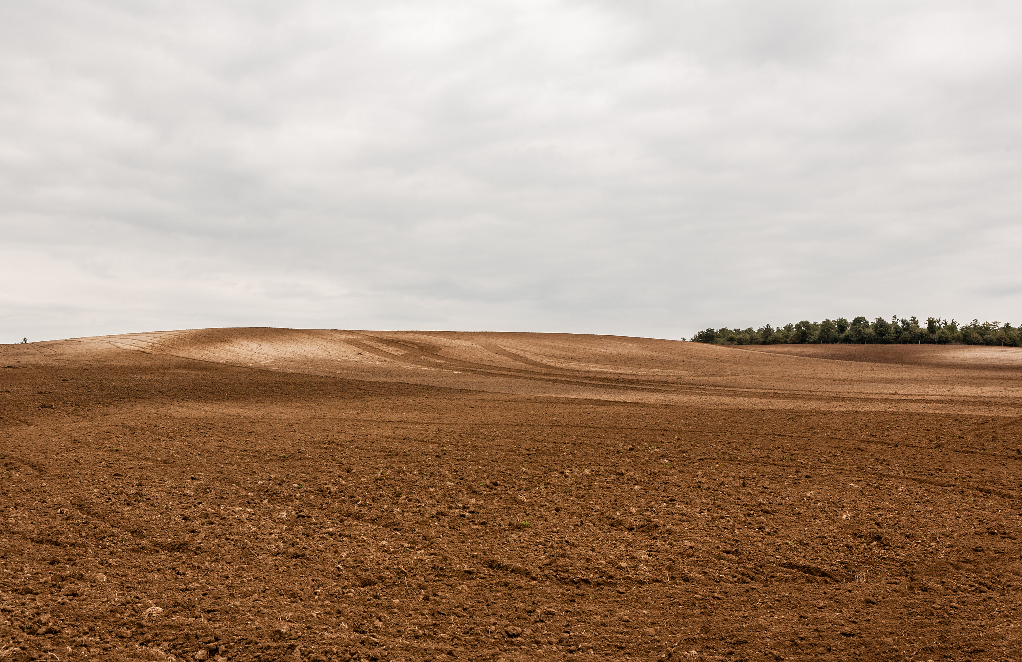 plowed field