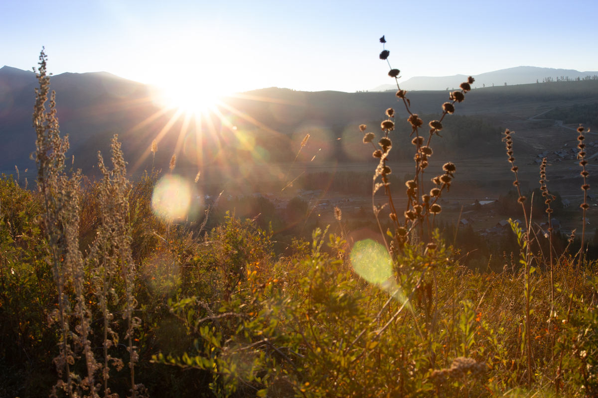 晓阳：清晨阳光，照亮大地，万物苏醒