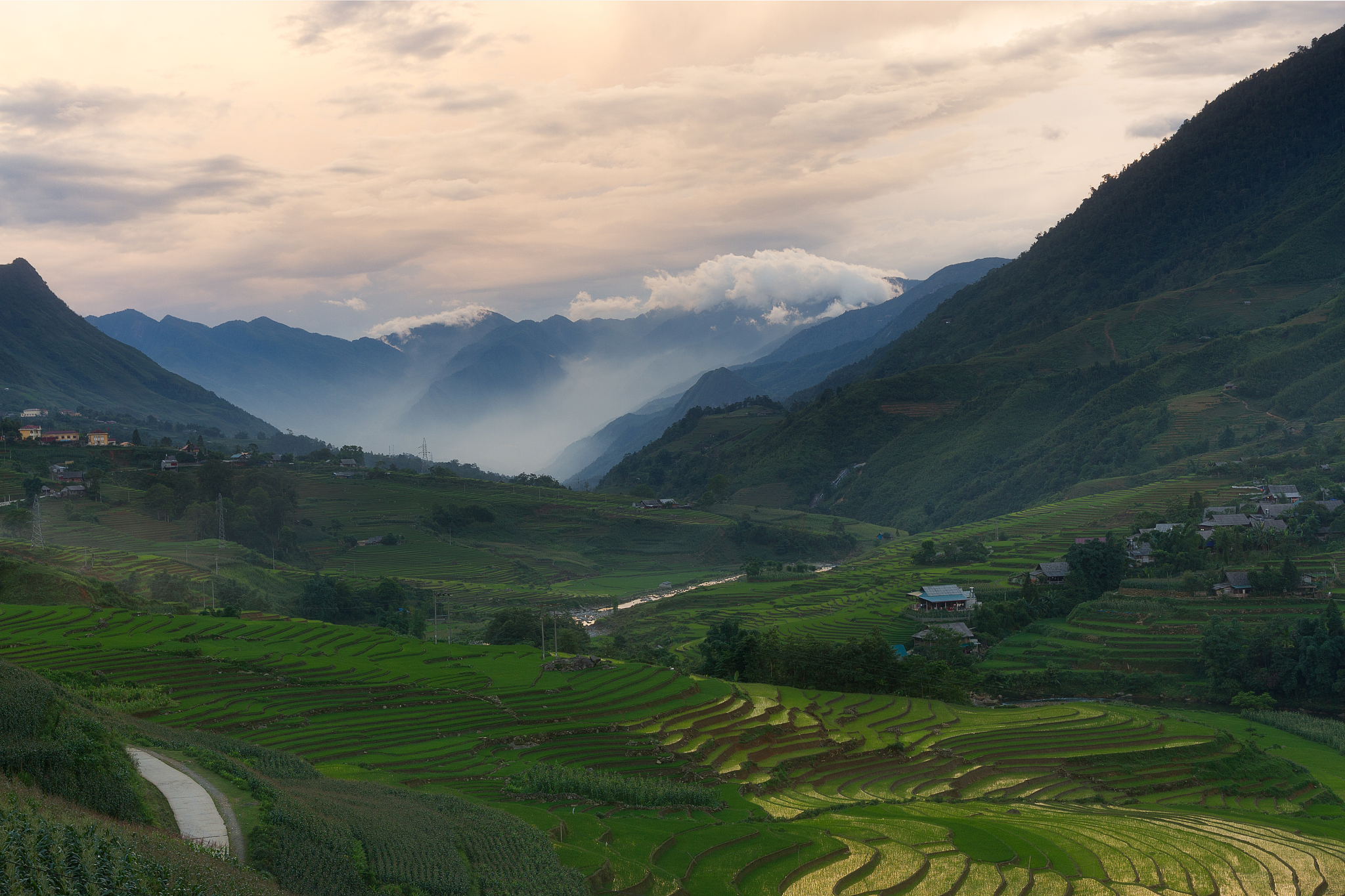 rice fields in the valley of ta va