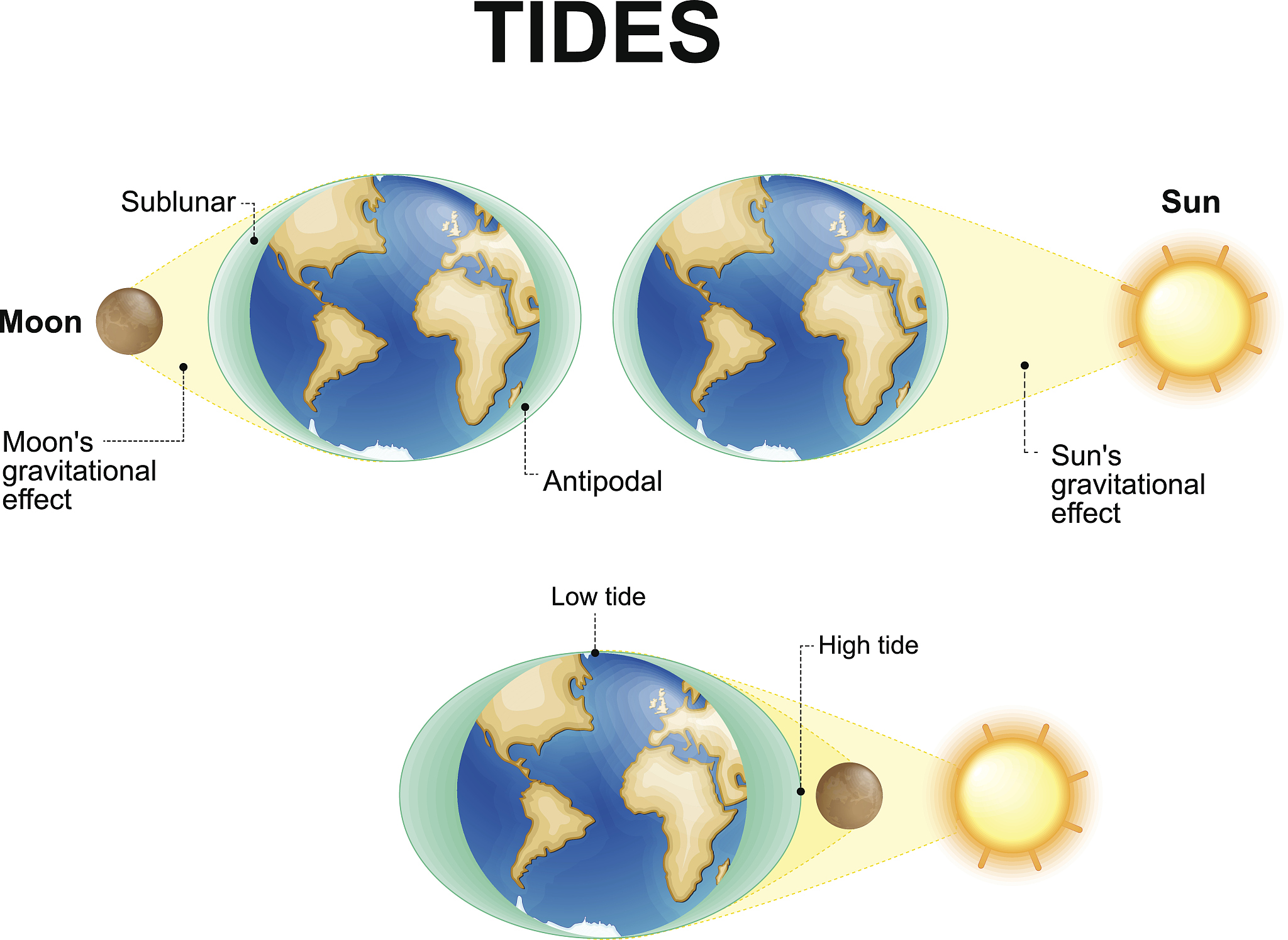 给这篇文章写个250字左右的summaryFree energy is a universal requirement for life It drives mechanical motion and chemical reactions —which in biology can change a cell or an organism Over the course of Earth hist