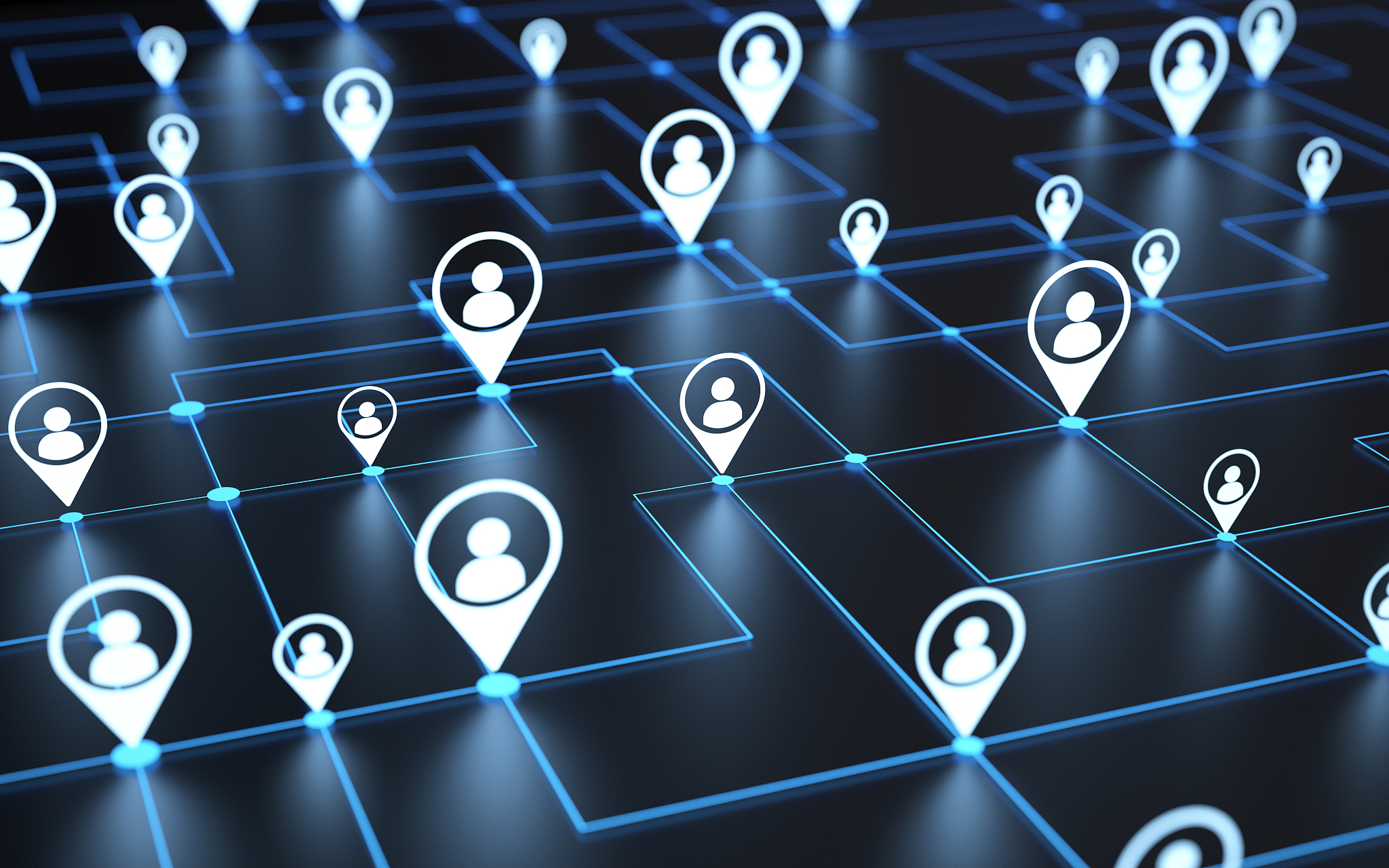 social network