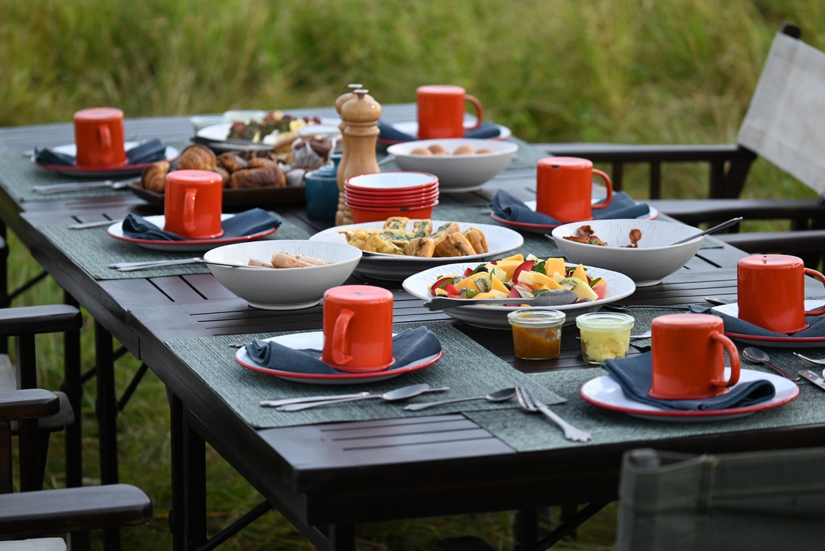 Do You Enjoy Picnics? - Exploring the Joy of Outdoor Dining