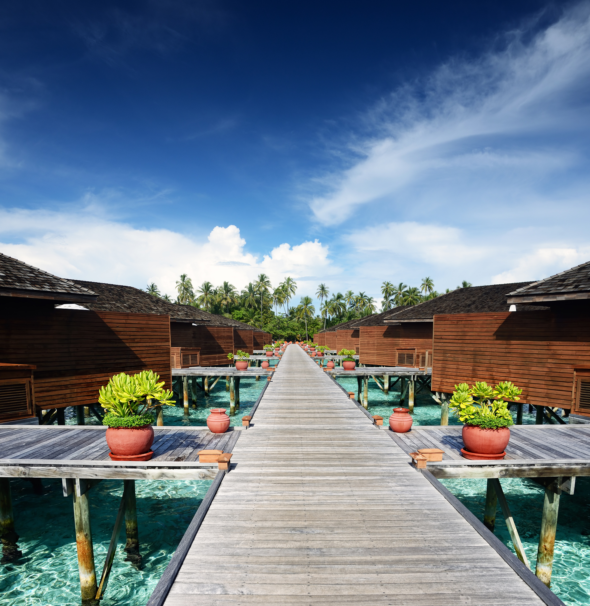 酒店住宿攻略网站：寻找理想住处，规划完美旅程