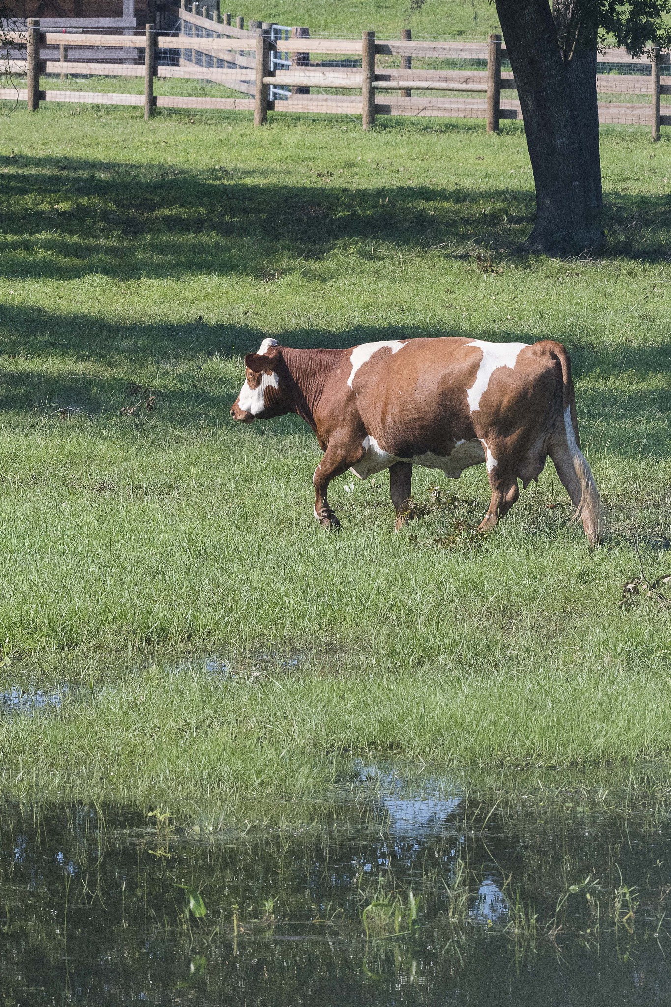牛津译林版必修三 Unit 2 Natural Disasters 综合技能教学设计