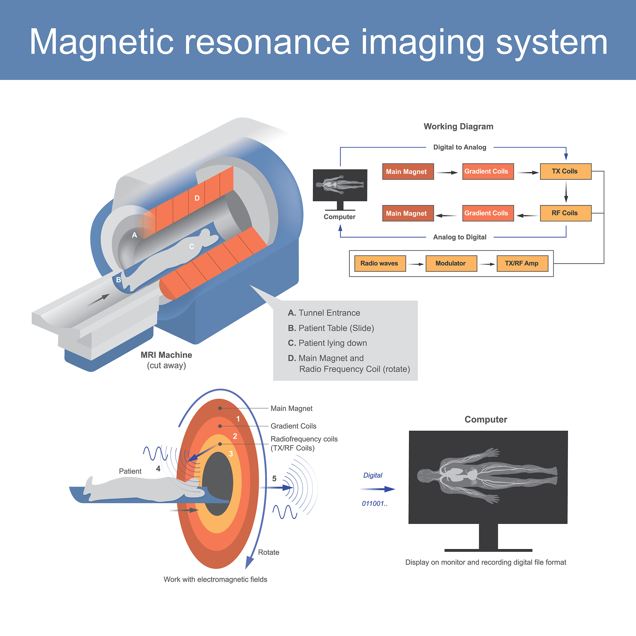 使用C++编写一个可以在Unreal Engine中使用的actor类它具有以下功能：1、有两个浮点数输入接口分别是坐标x和坐标y可以根据输入的值定义一个二维区域2、根据定义的二维区域生成与整数坐标值对应的点3、为生成的点添加随机的高度值范围是0~2554、根据调整后的点生成mesh5、要提供完整代码包括cpp和头文件代码