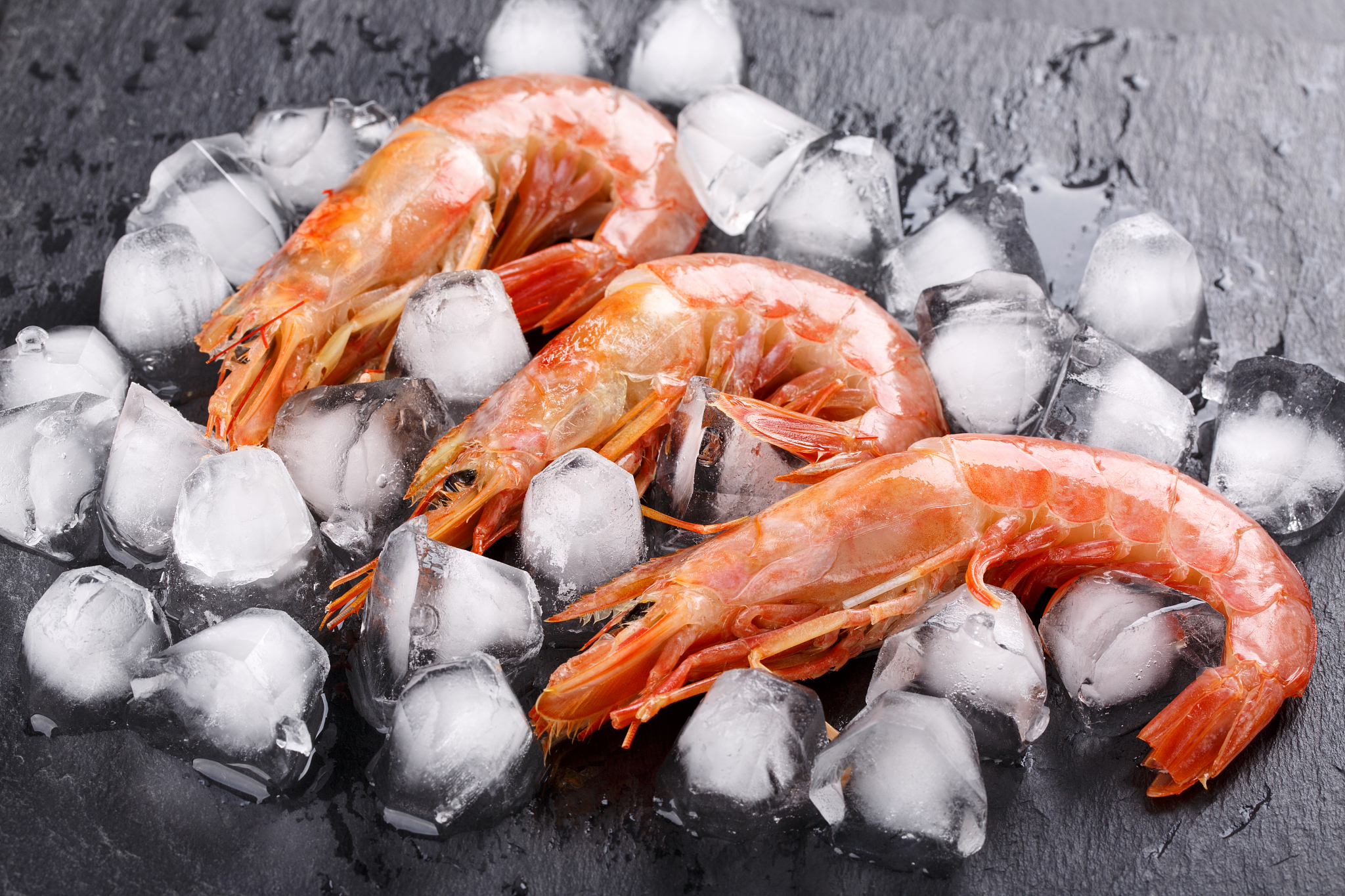 Shrimp with Red or Black Heads, Color Change, and Strange Odor